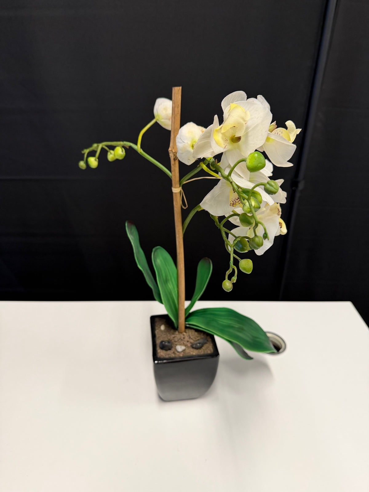 White Faux Orchid Artificial Plant in Black Pot