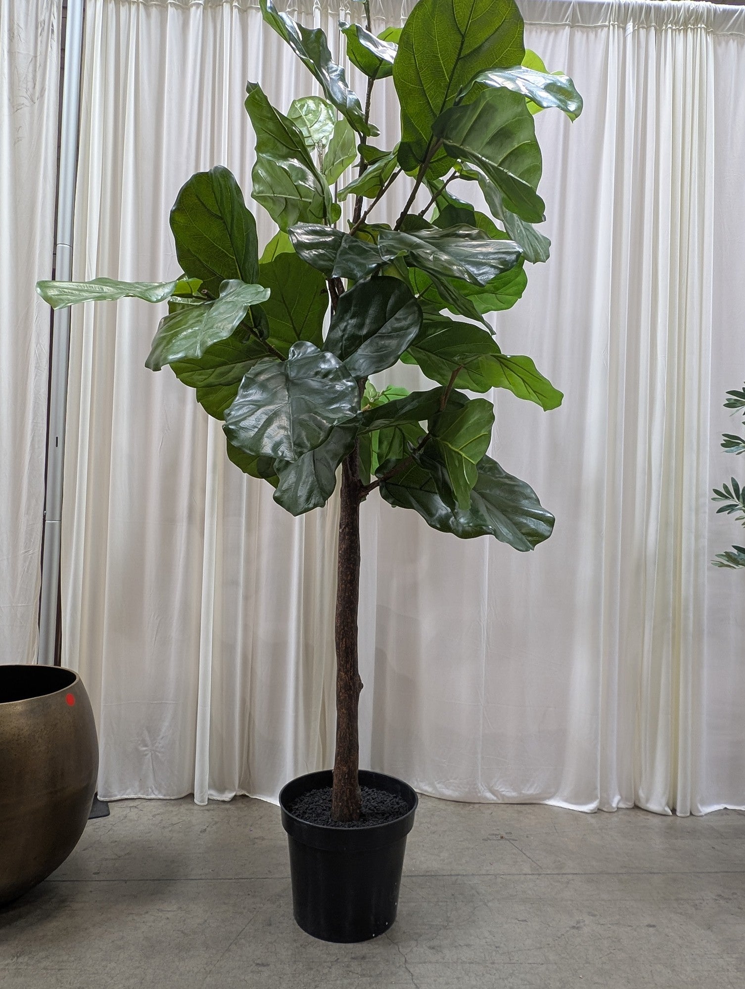 Faux Fiddle Leaf Fig Tree in Plastic Pot