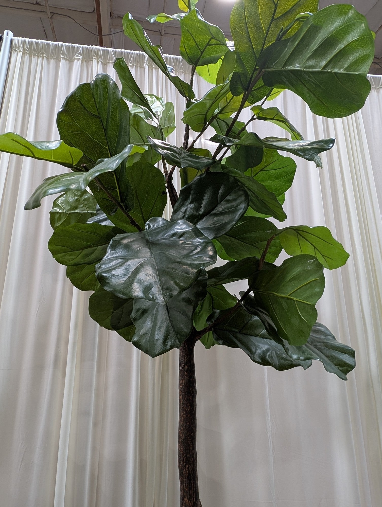 Faux Fiddle Leaf Fig Tree in Plastic Pot
