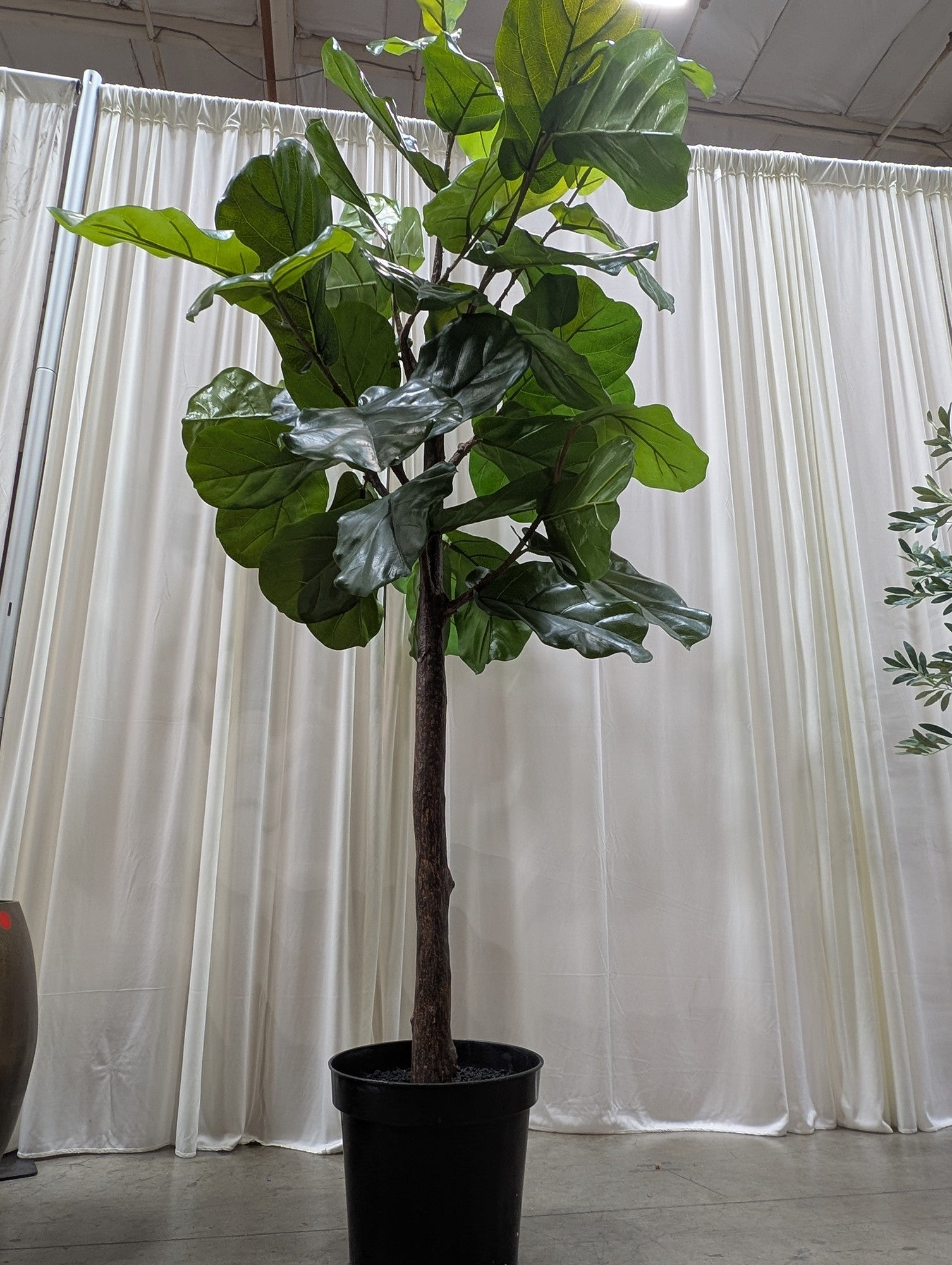 Faux Fiddle Leaf Fig Tree in Plastic Pot