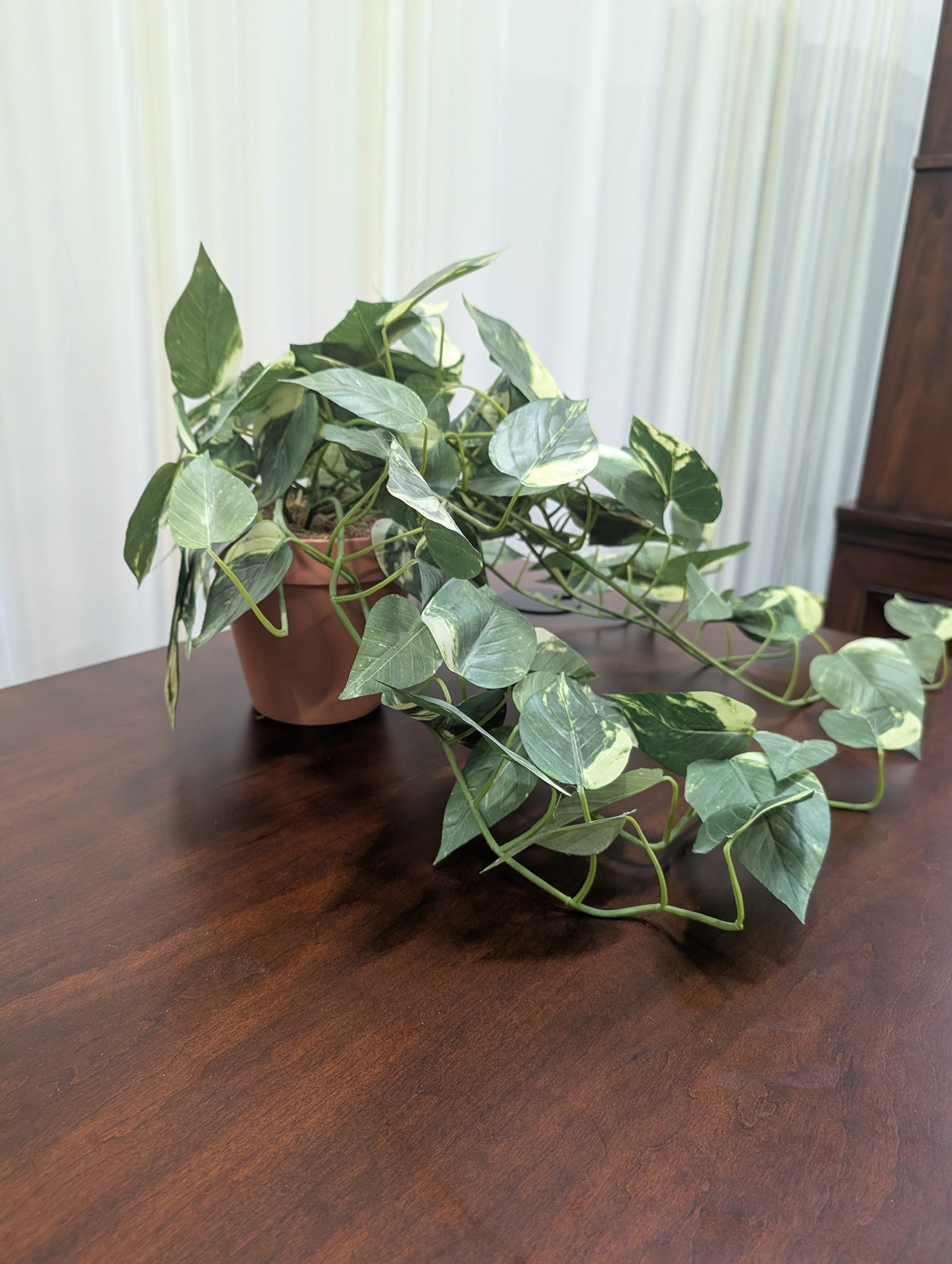 Variegated Green Artificial Pothos Plant in Pot