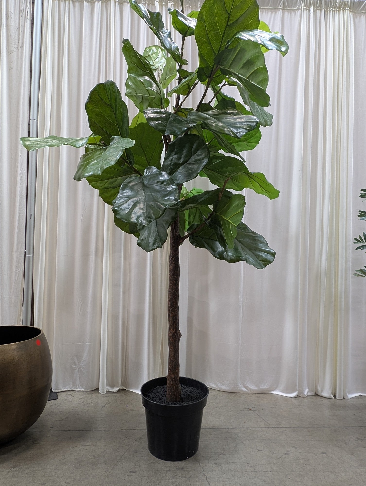 Faux Fiddle Leaf Fig Tree in Plastic Pot