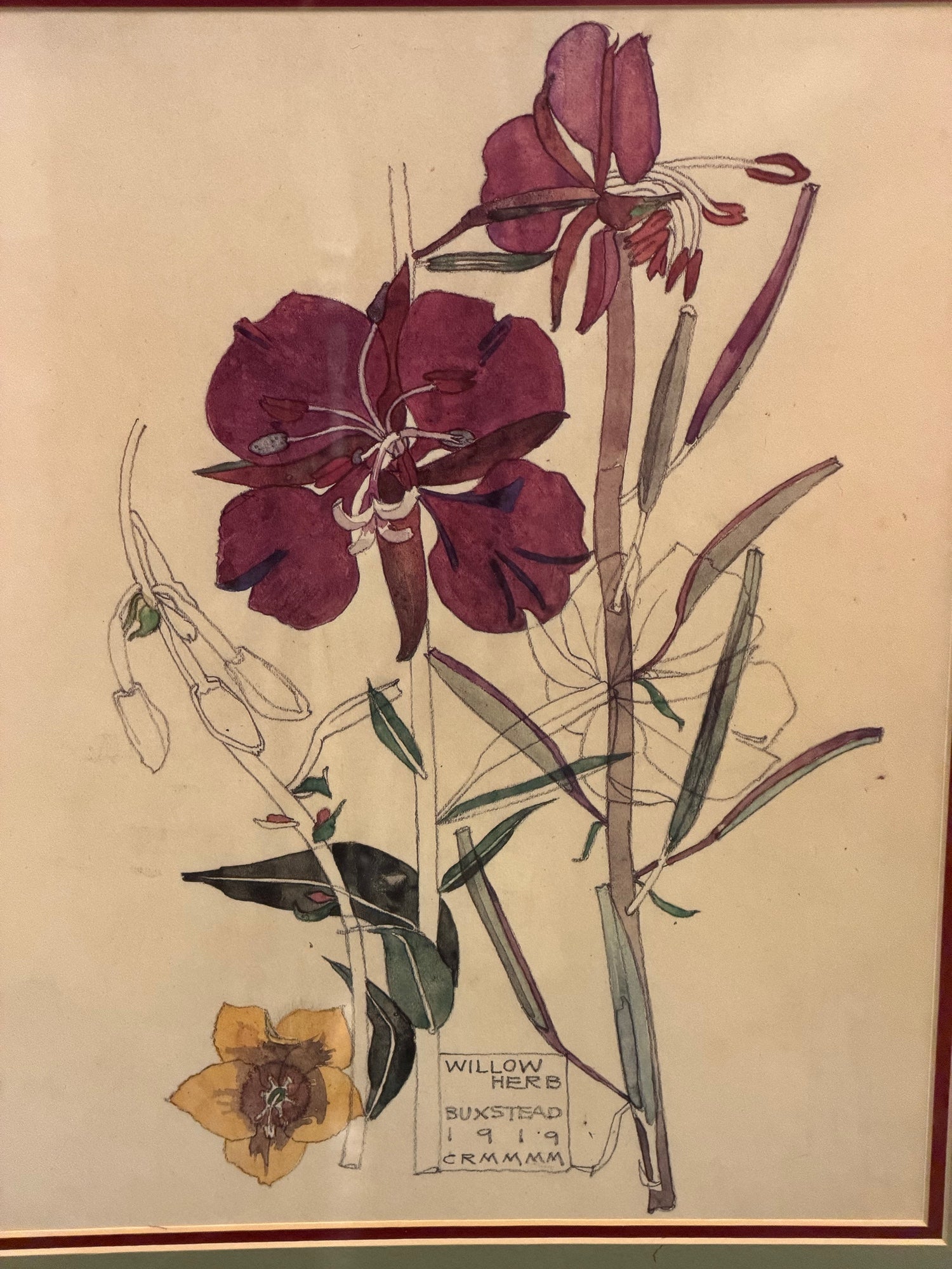 Charles Rennie Mackintosh Willow Herb Framed Art