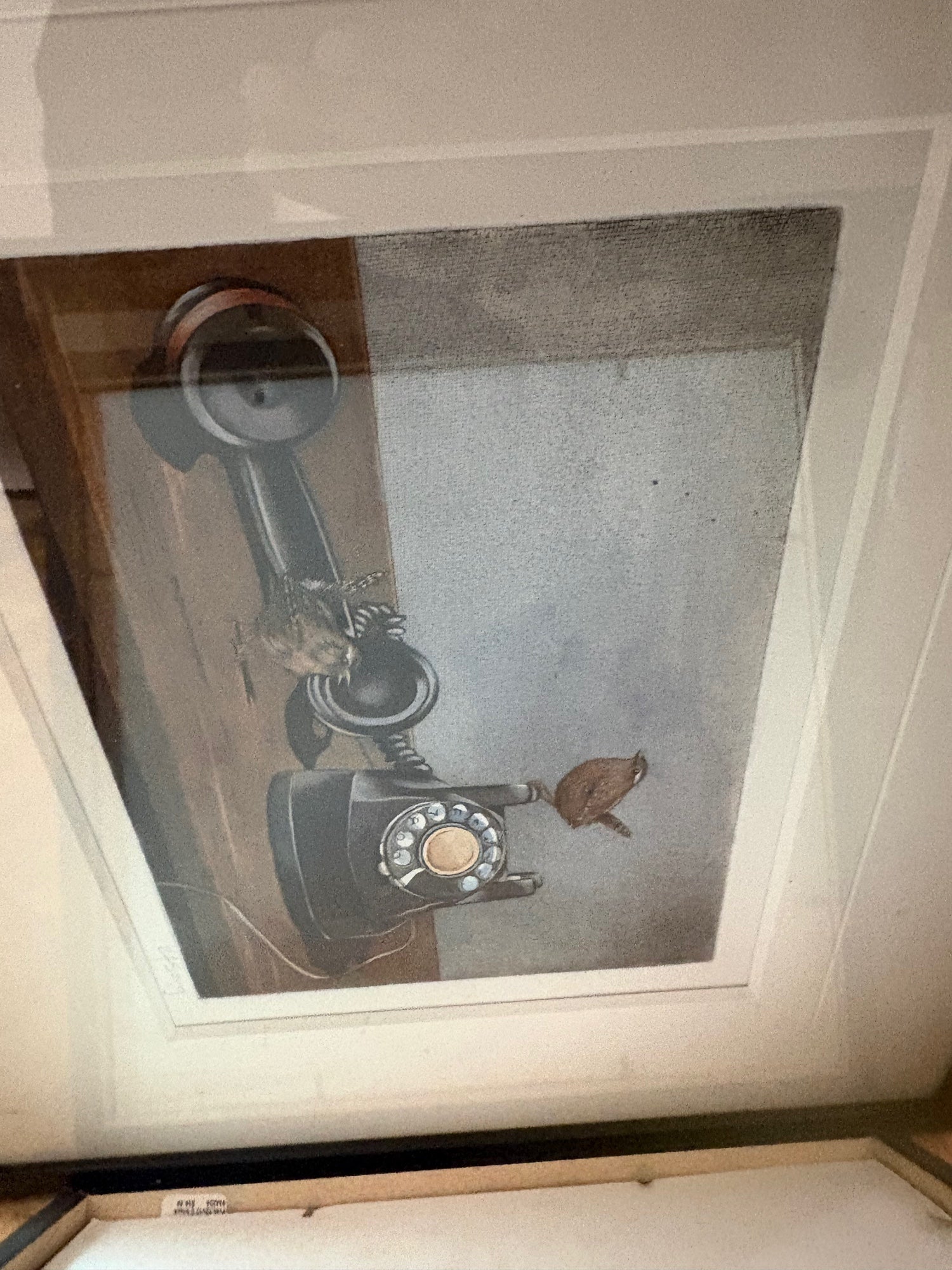 Limited Edition Rotary Telephone and Bird Framed Art Print by PNW artist