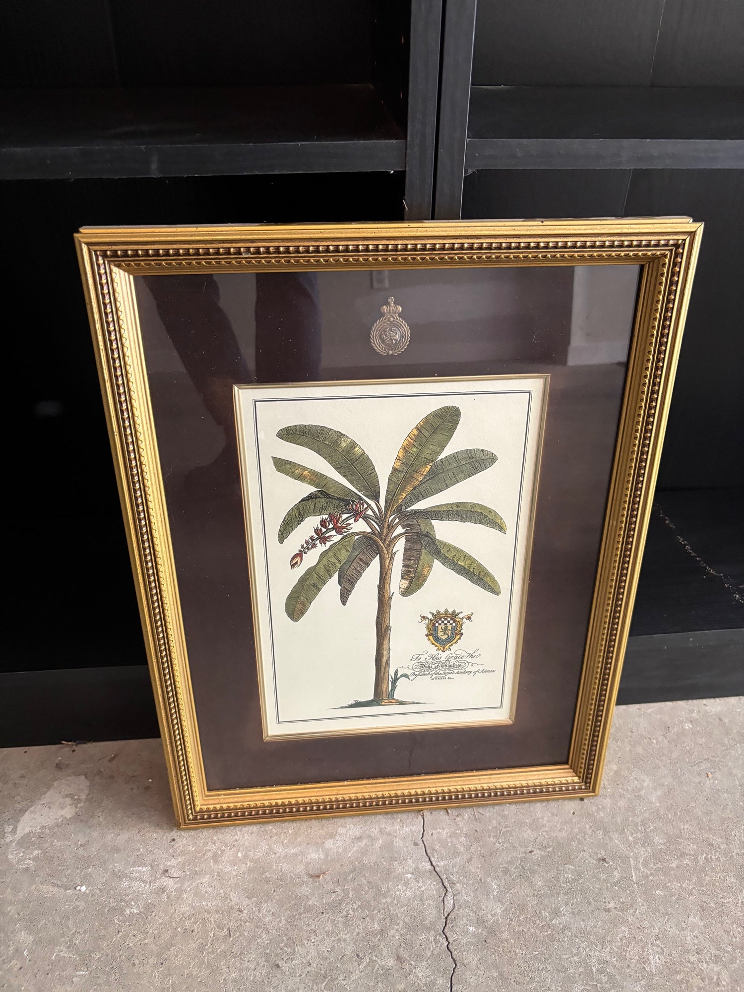 Botanical Banana Tree Framed Print in Gold Frame