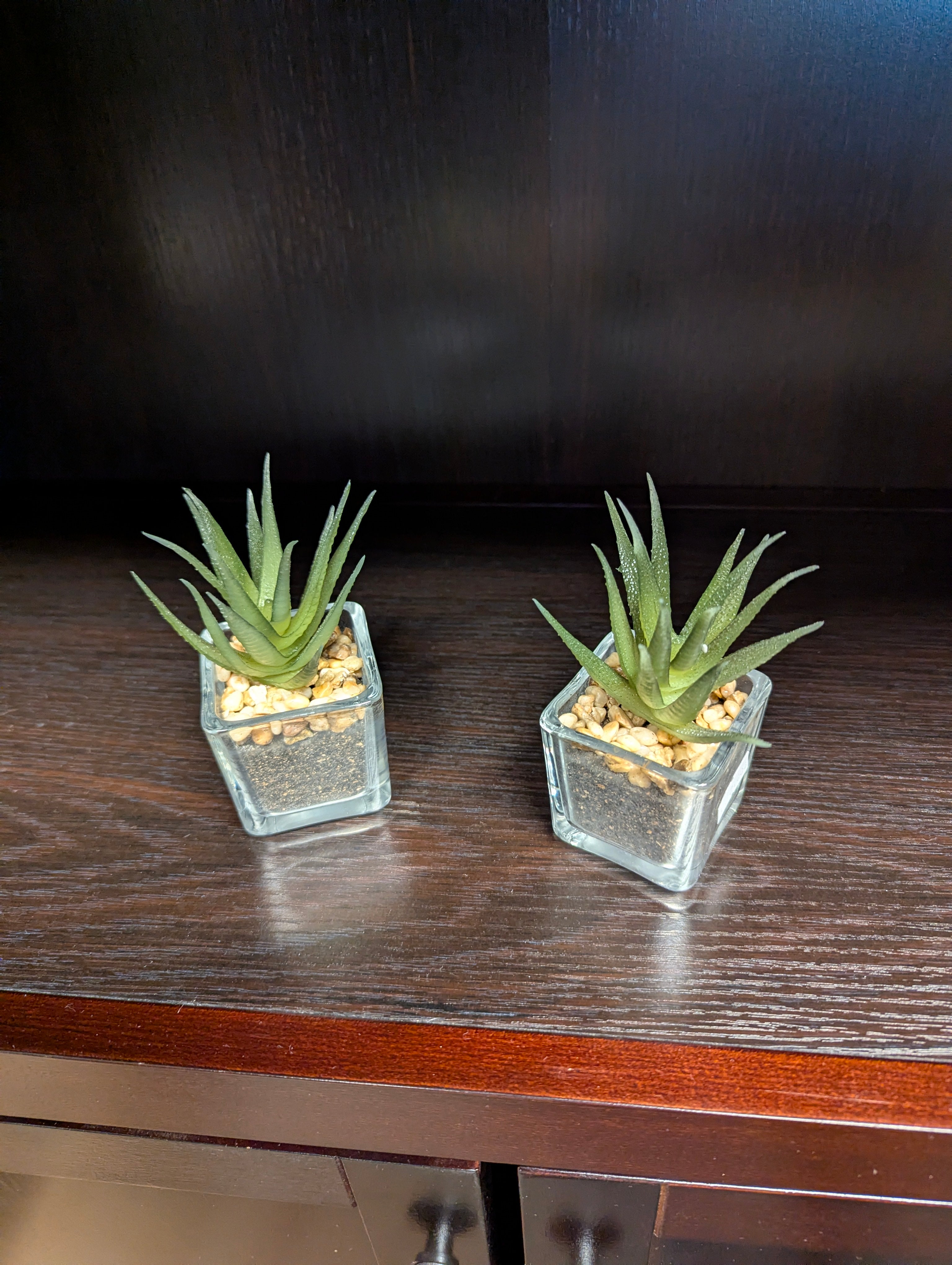 Artificial Succulent Plant in Square Glass Pots