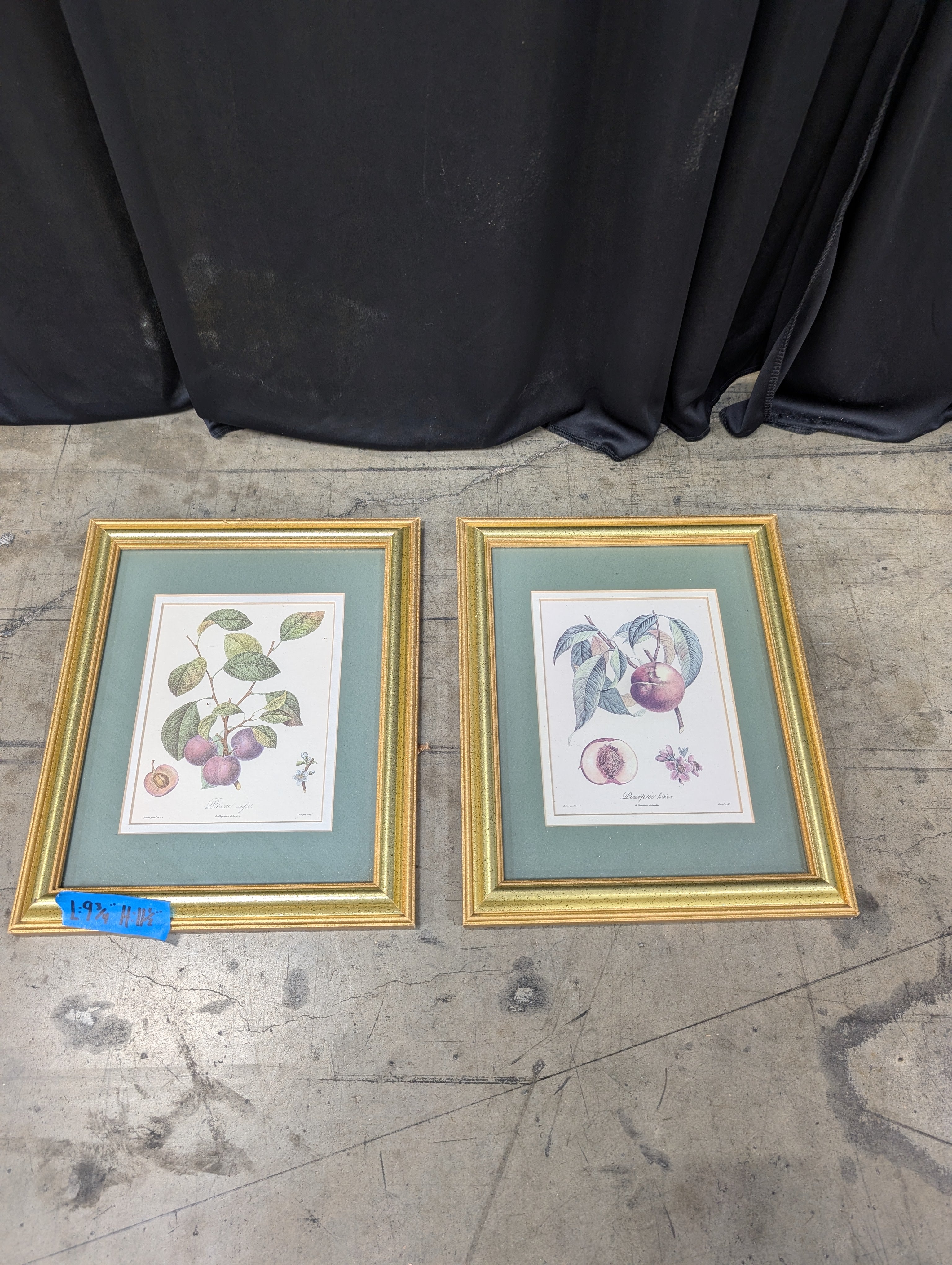 Set of two Vintage Gold Framed Botanical Print with Matting