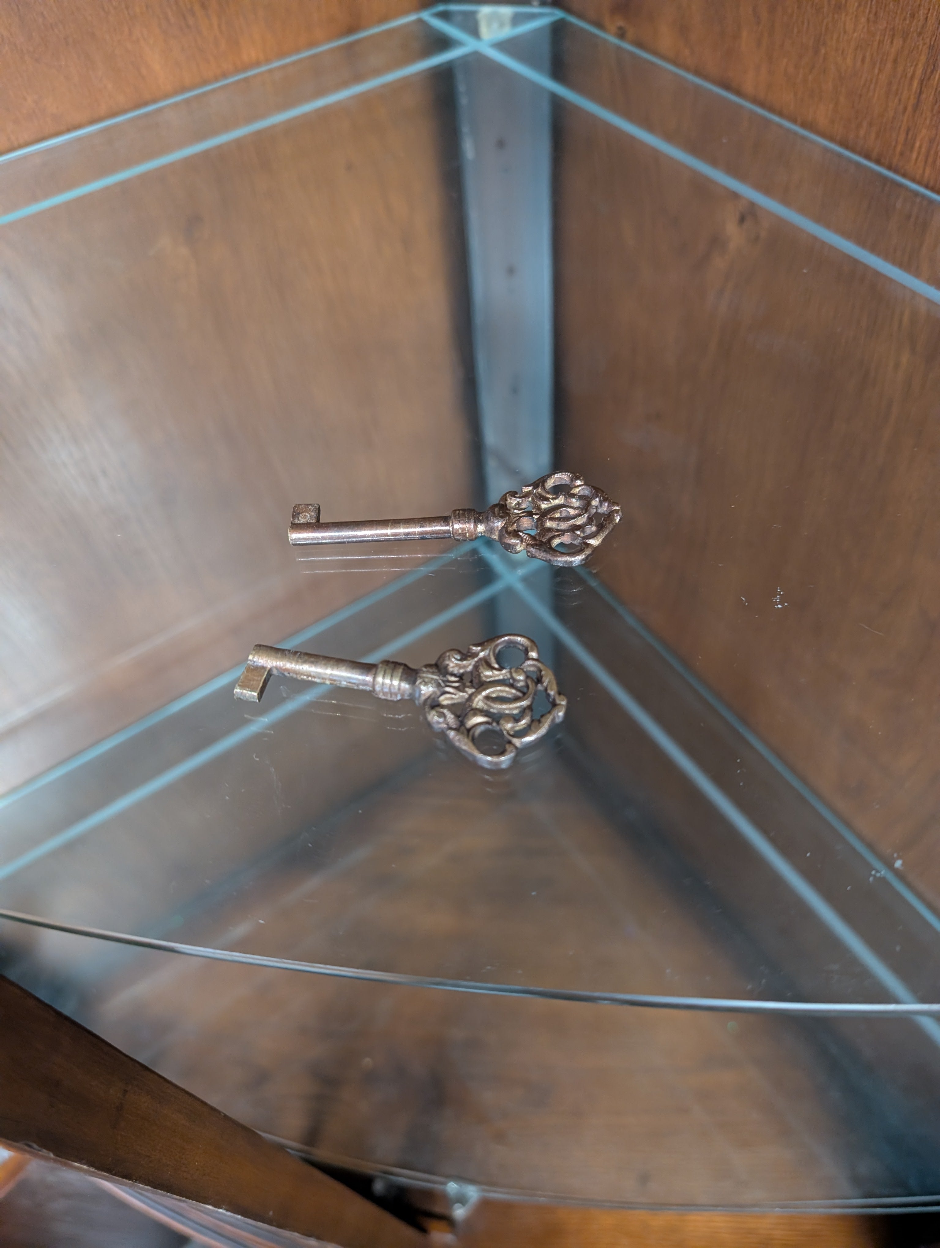 Traditional Dark Wood Corner Display Cabinet with Glass Door