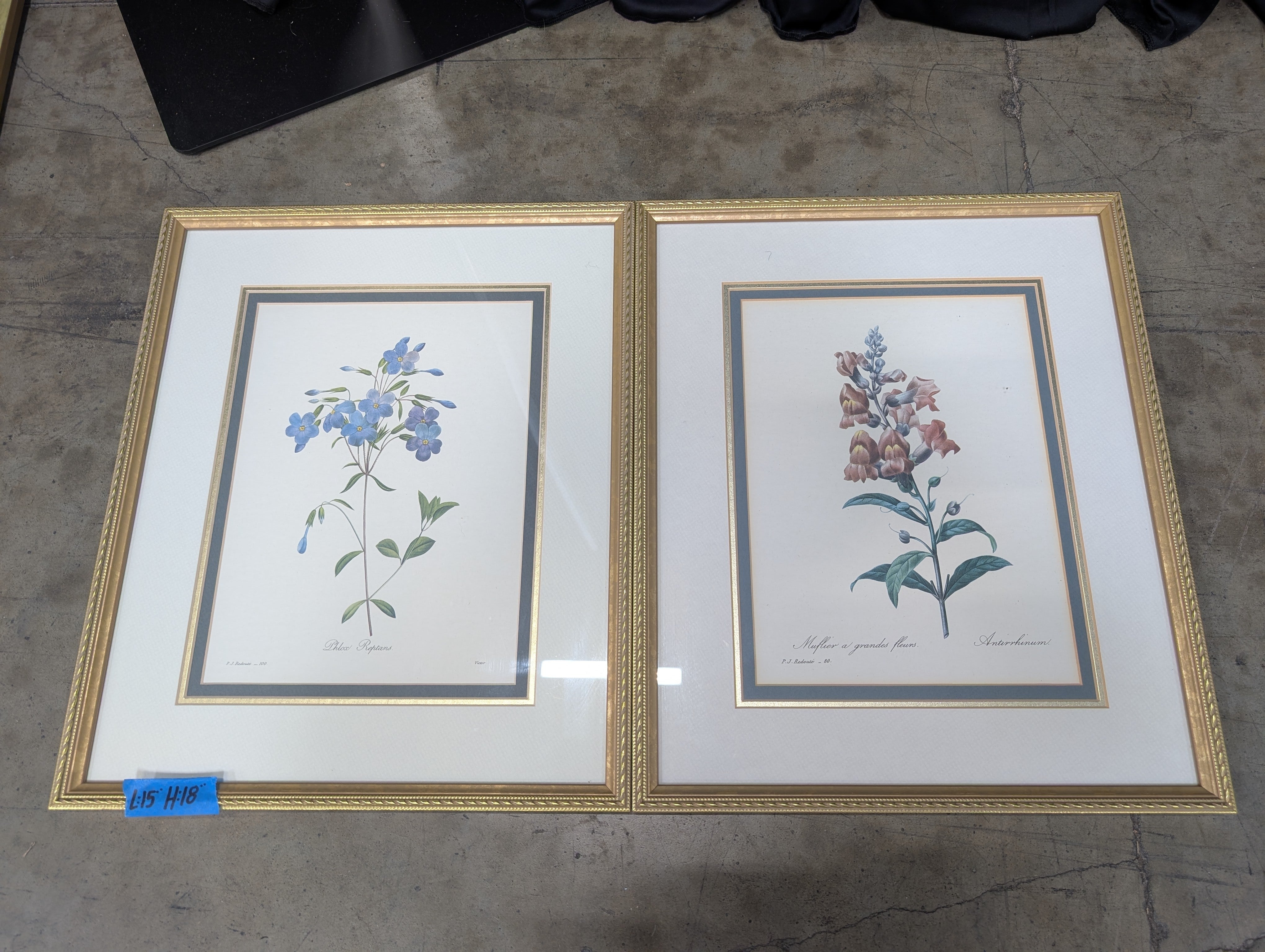 Set of Two Botanical Floral Art Print in Gold Frame