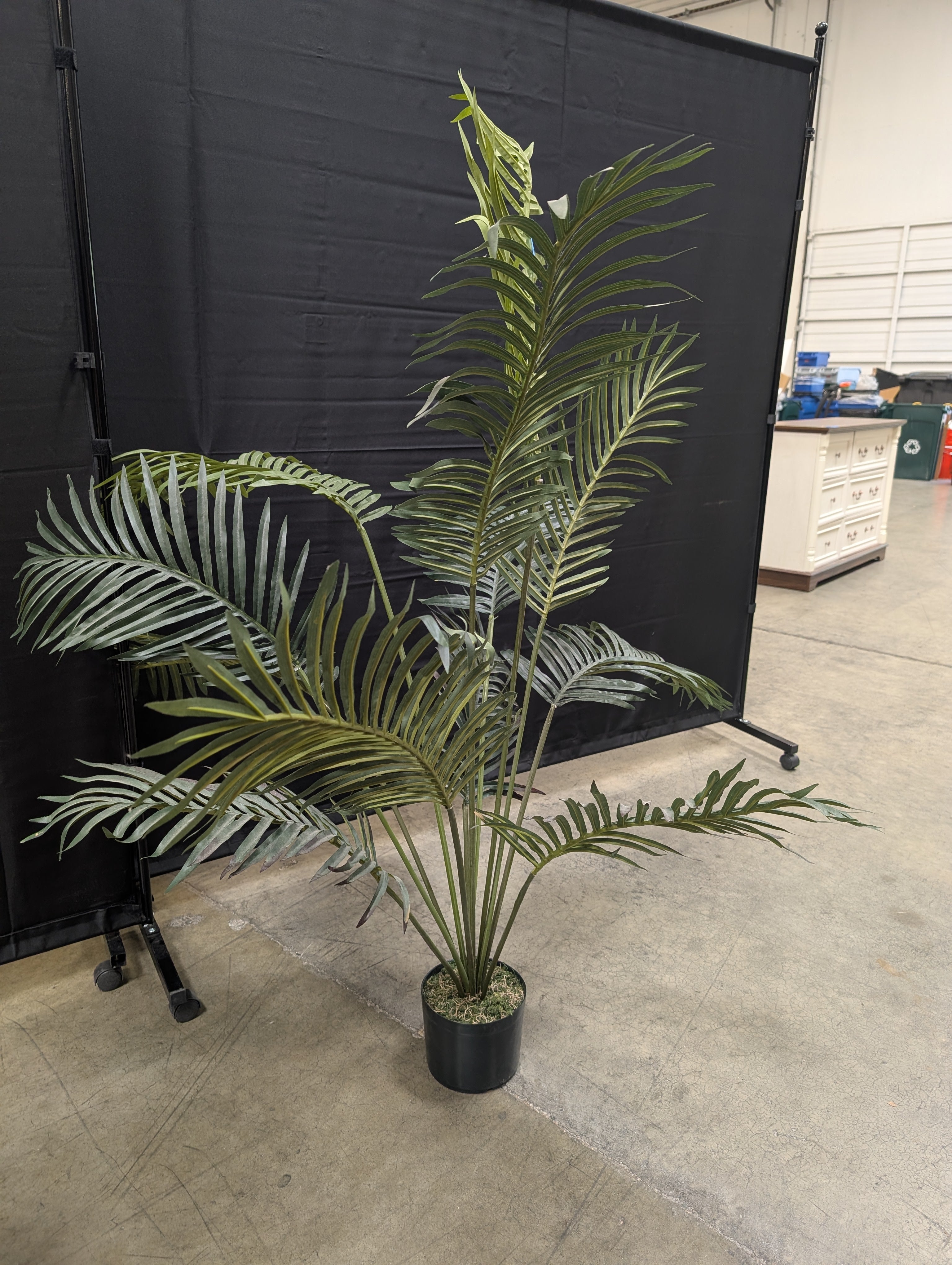 Faux Plant in Black Pot