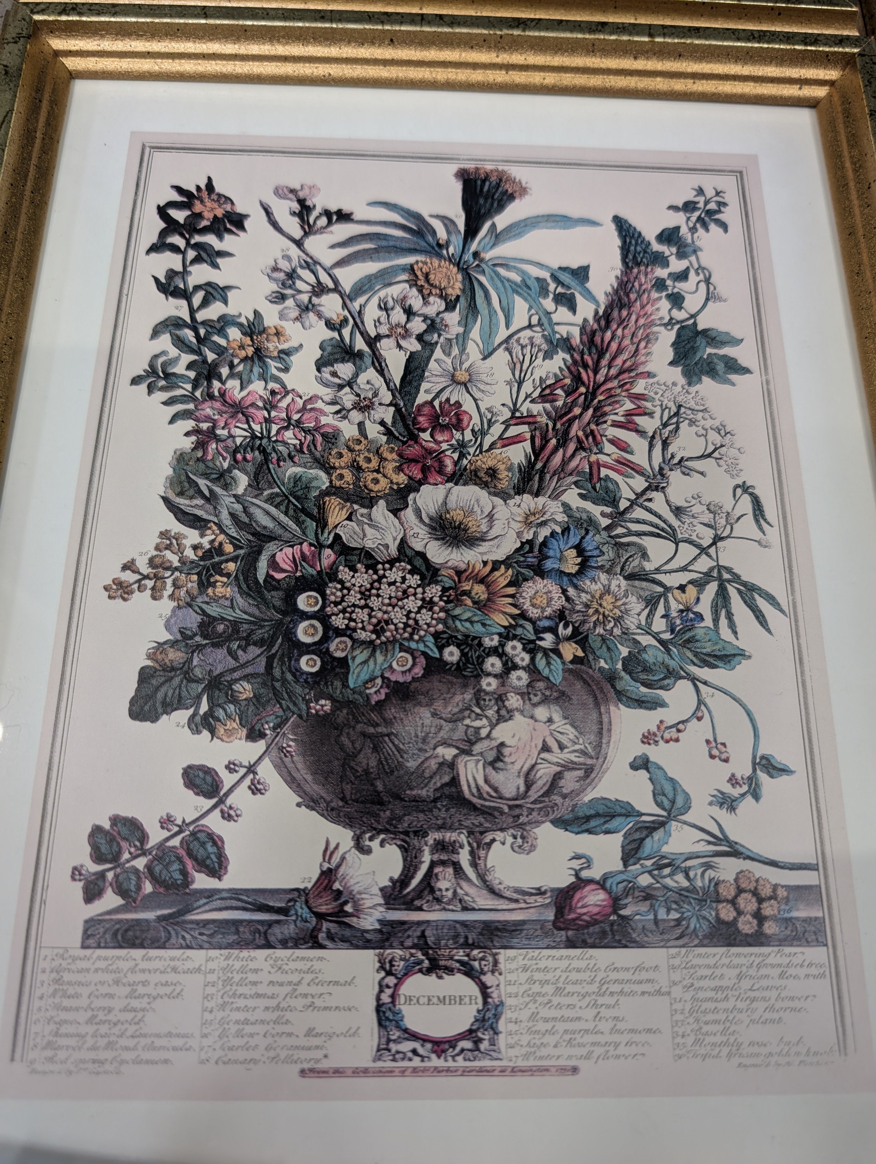 Set of four Vintage Floral Botanical Framed Art in Gold