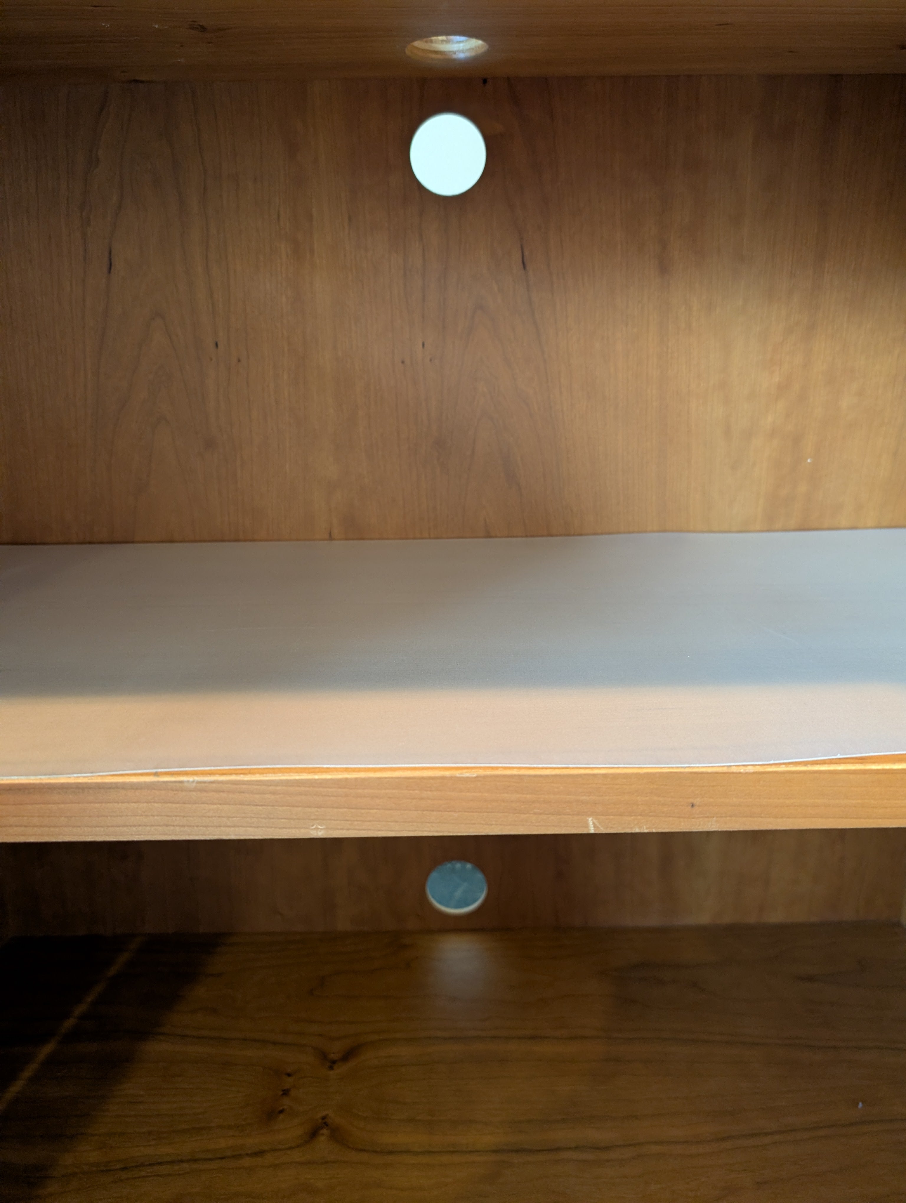 Medium Tone Wood Office Storage Cabinet with Shelves