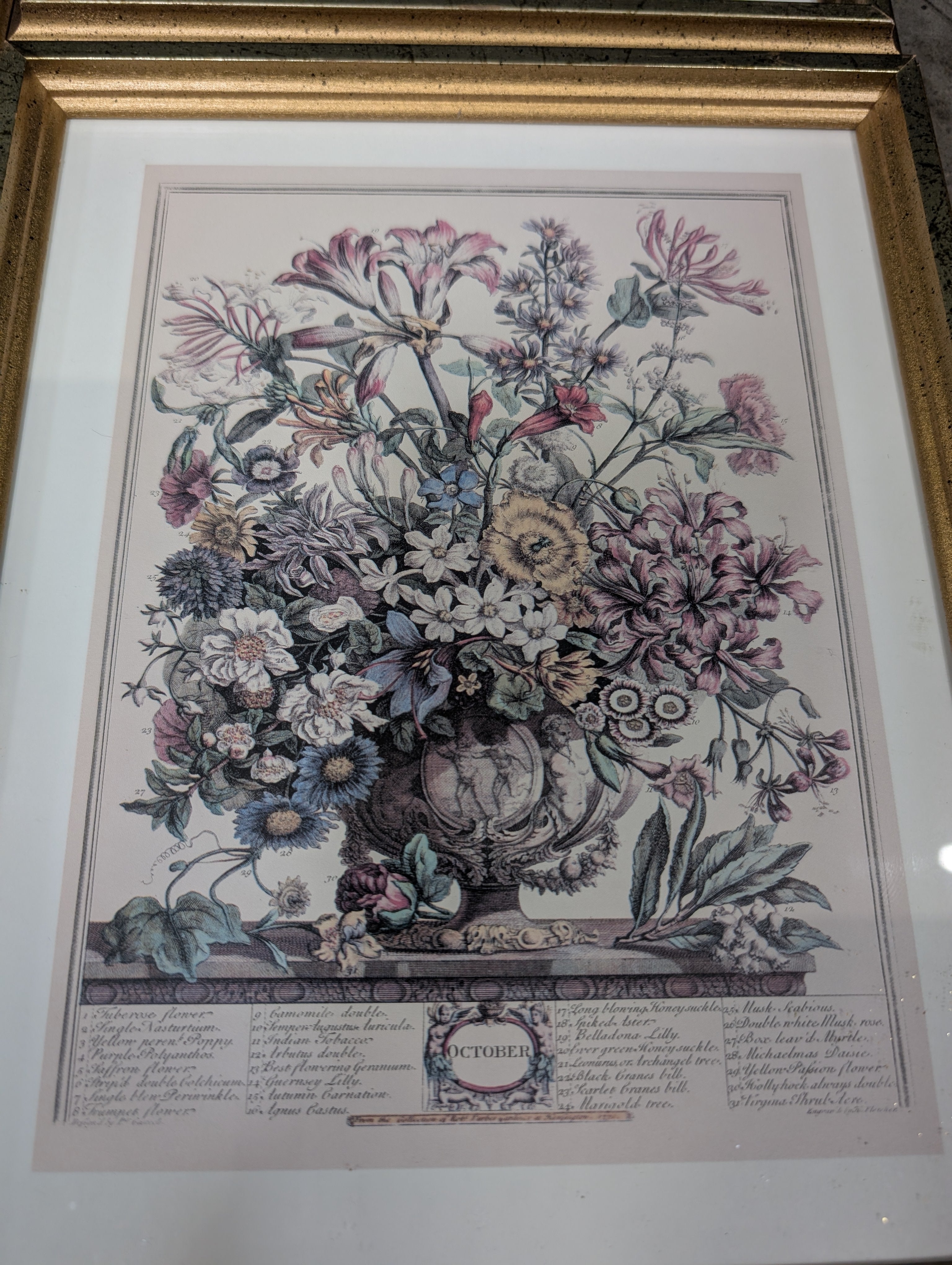 Set of four Vintage Floral Botanical Framed Art in Gold