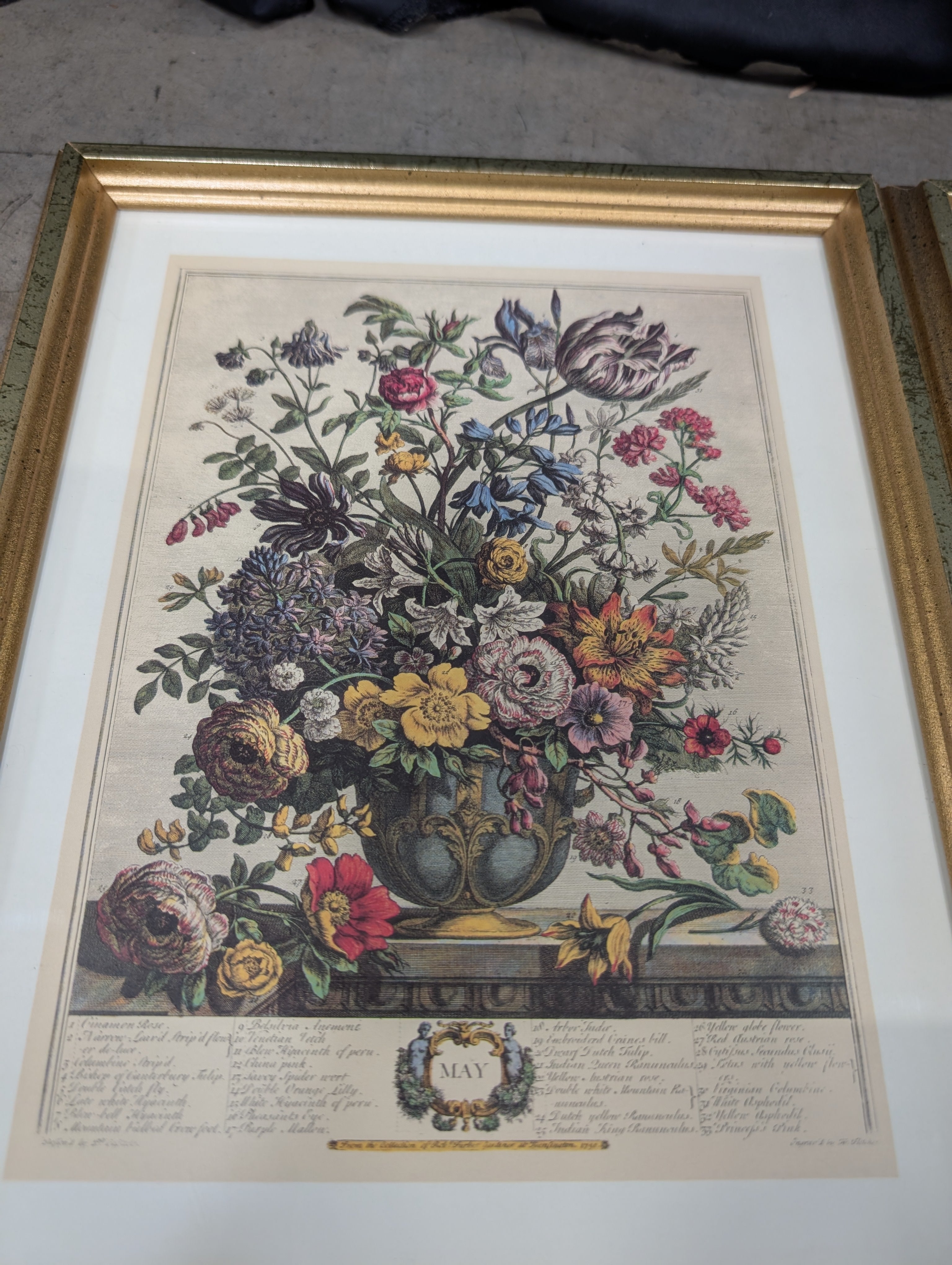 Set of four Vintage Floral Botanical Framed Art in Gold
