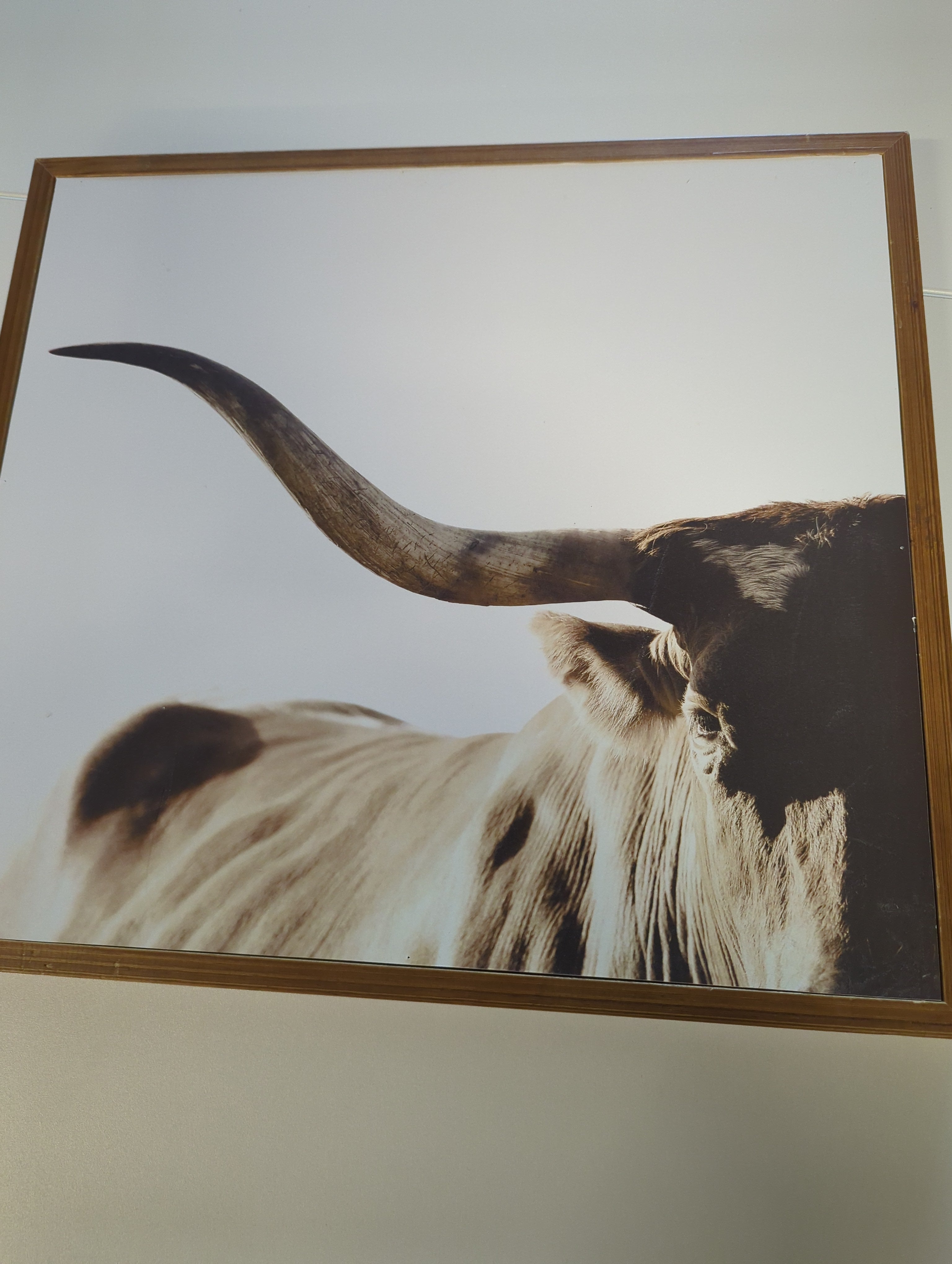 Framed Longhorn Steer Wall Art Print Rustic Farmhouse Decor