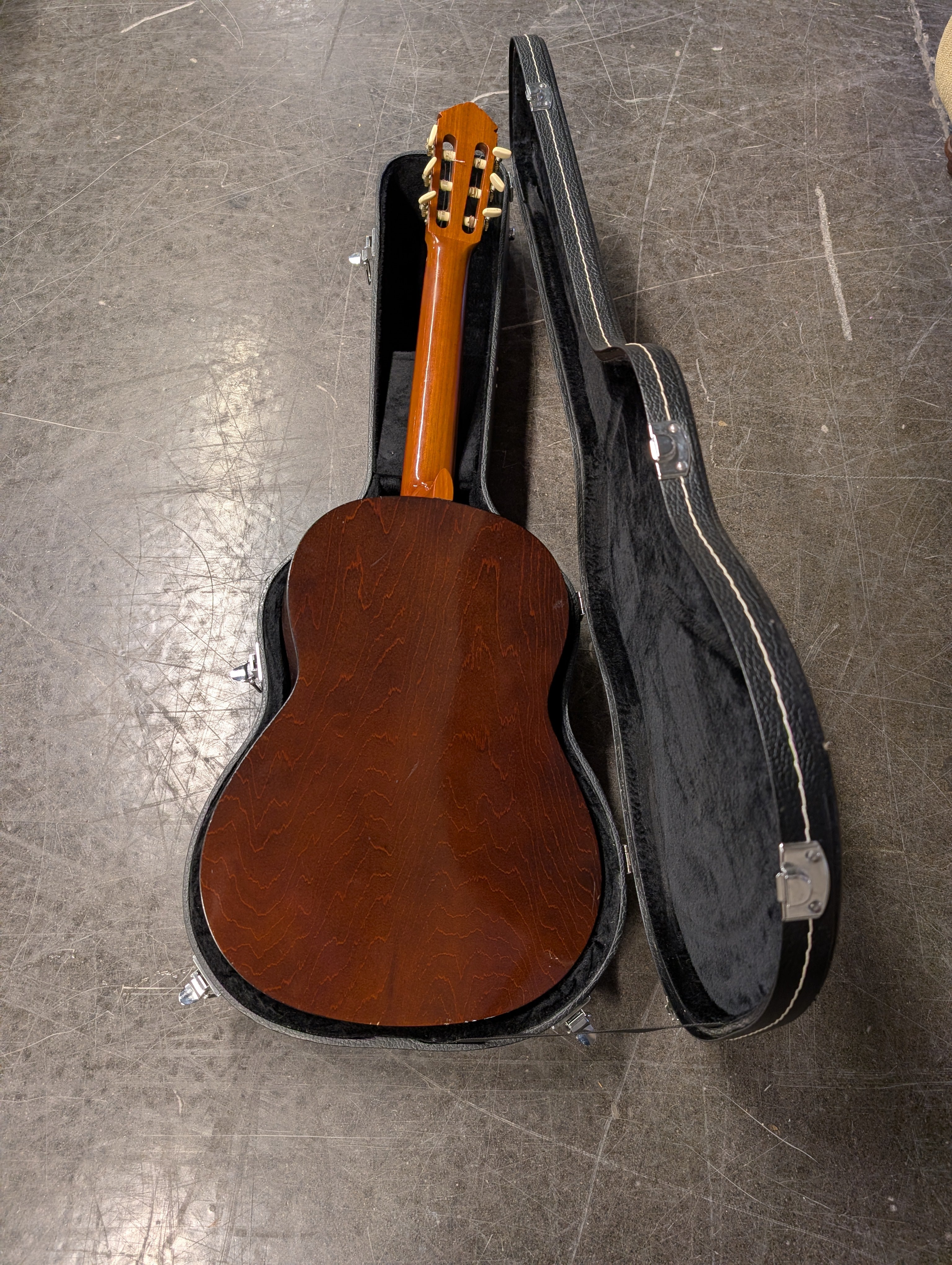 Full-Size Acoustic Guitar with Protective Hard Case