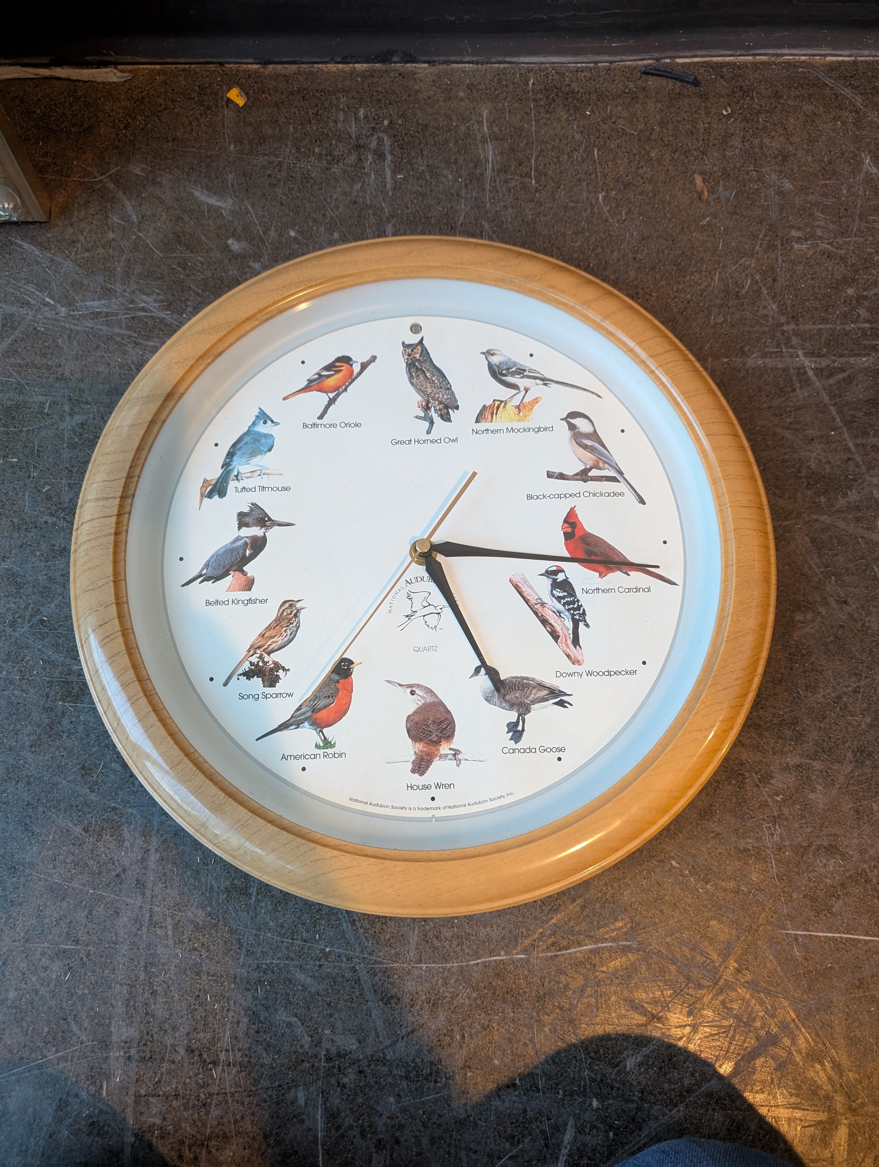 Audubon Society Bird Species Wood-Grain Quartz Wall Clock