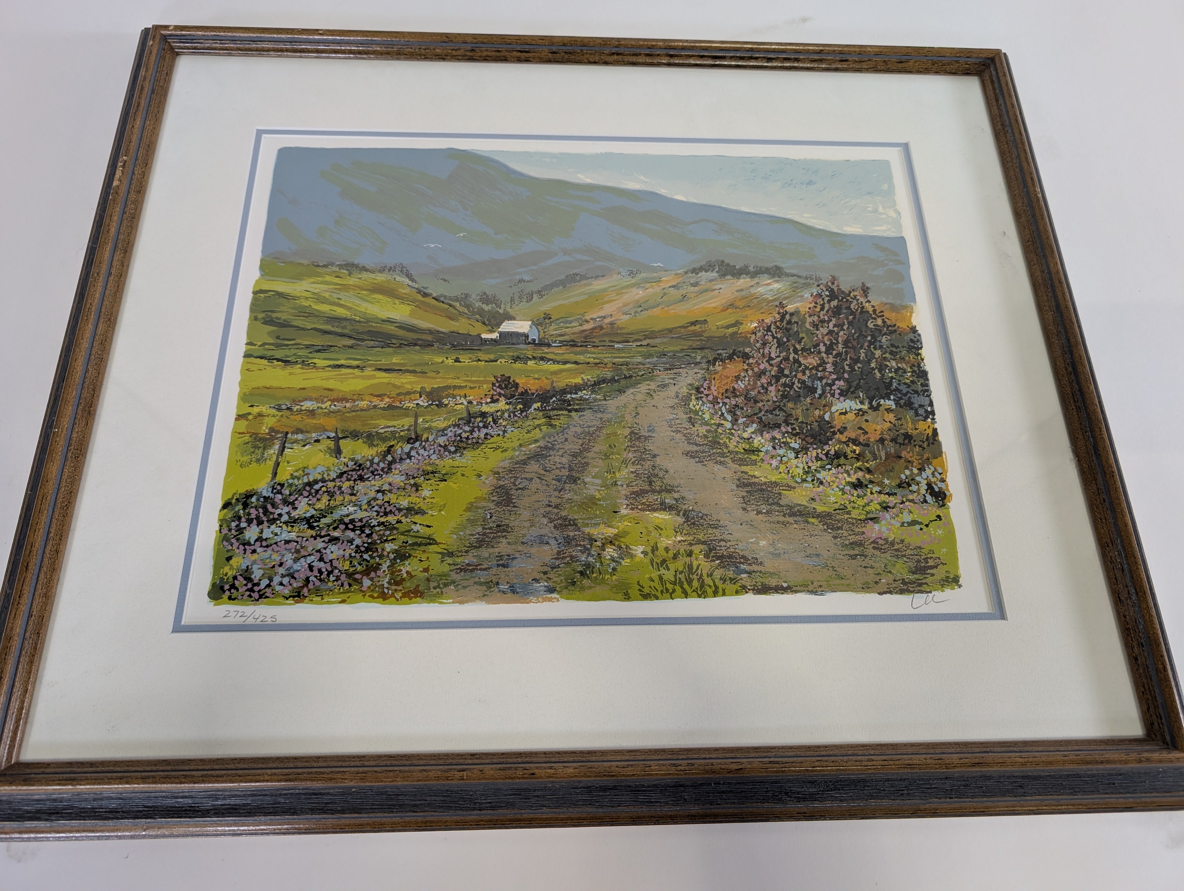 In Full Bloom Framed Print