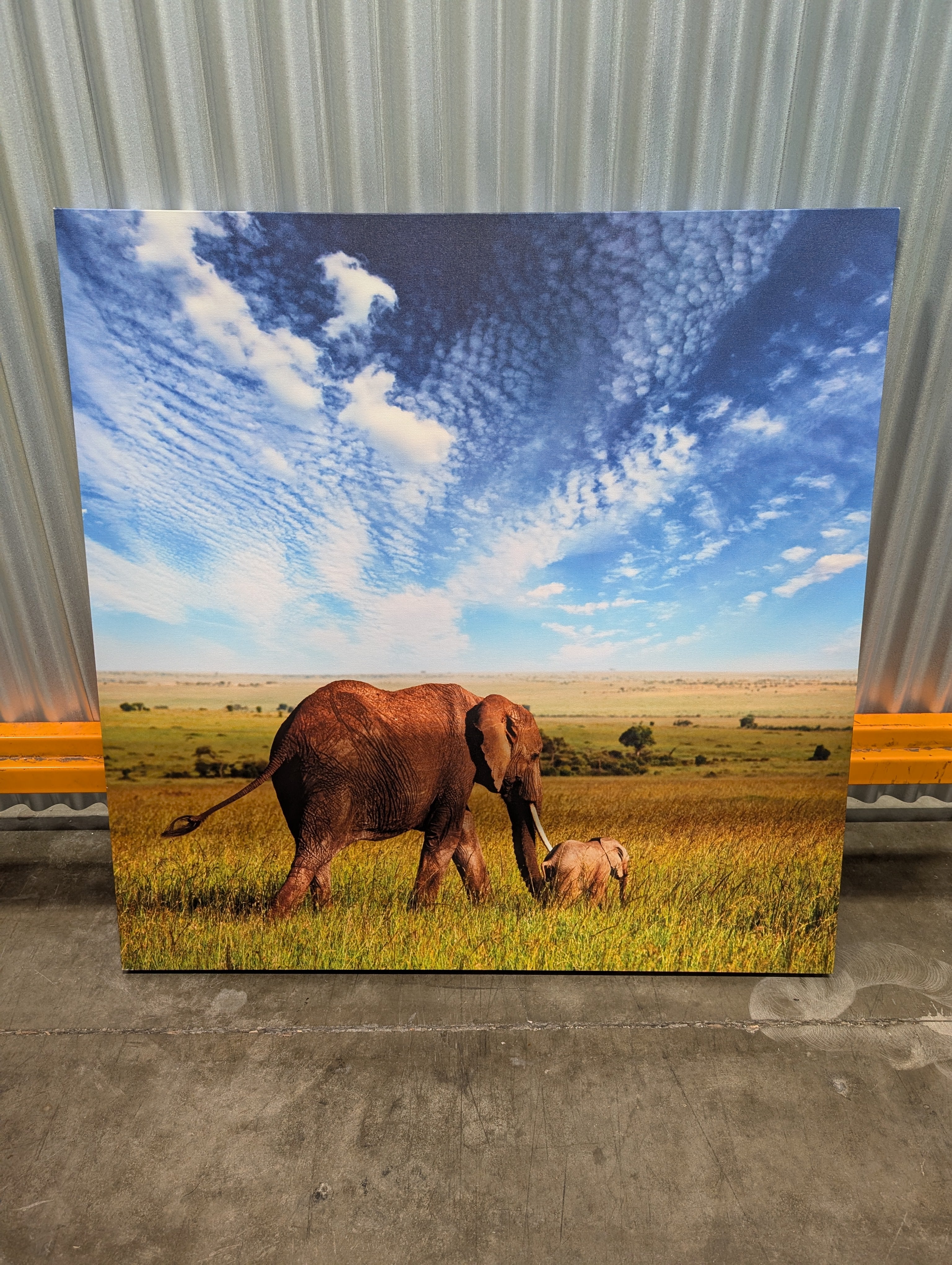 African Elephant Savanna Canvas Art | Amboseli National Park
