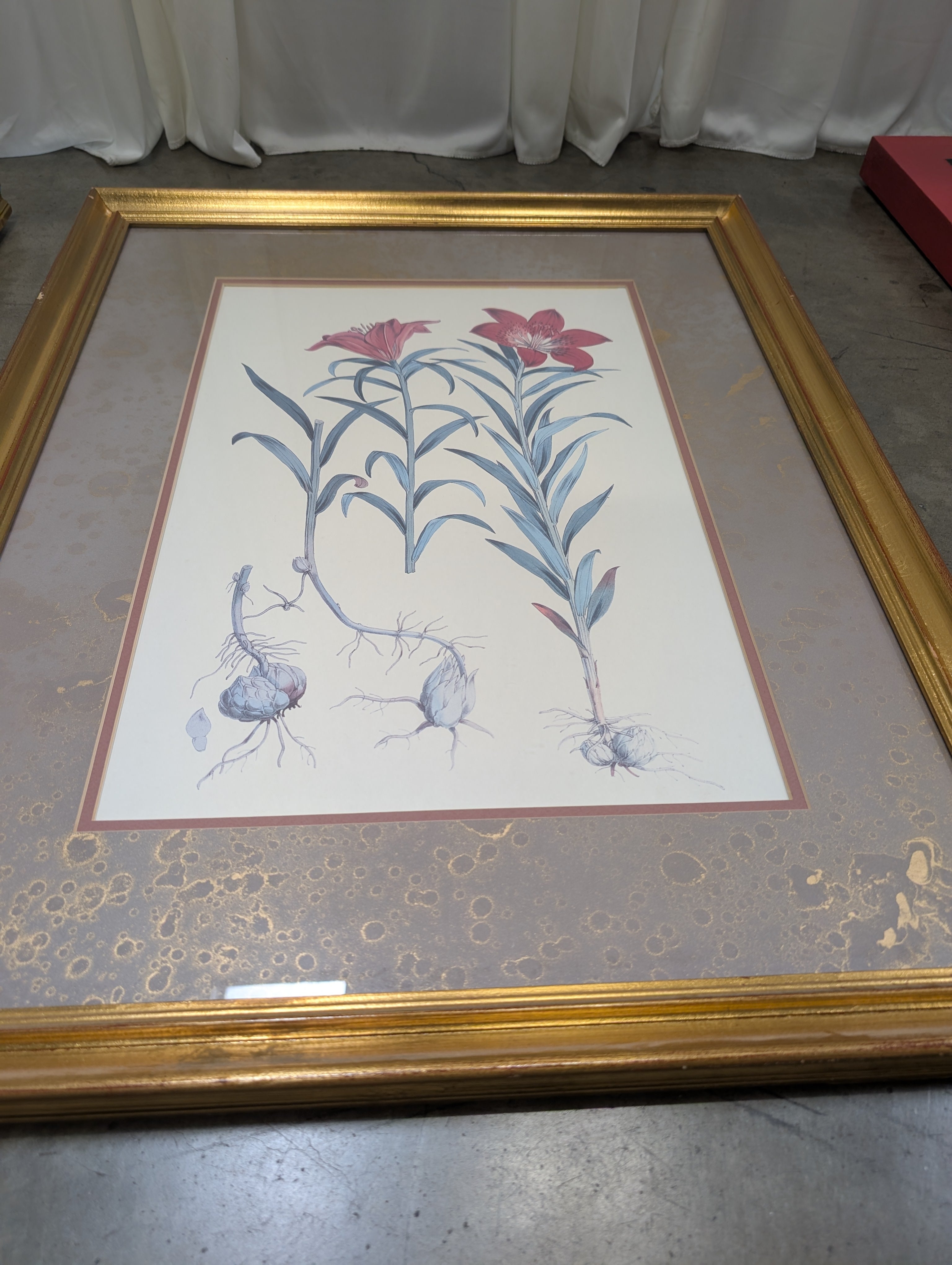 Botanical Floral Framed Print in Gold Wood