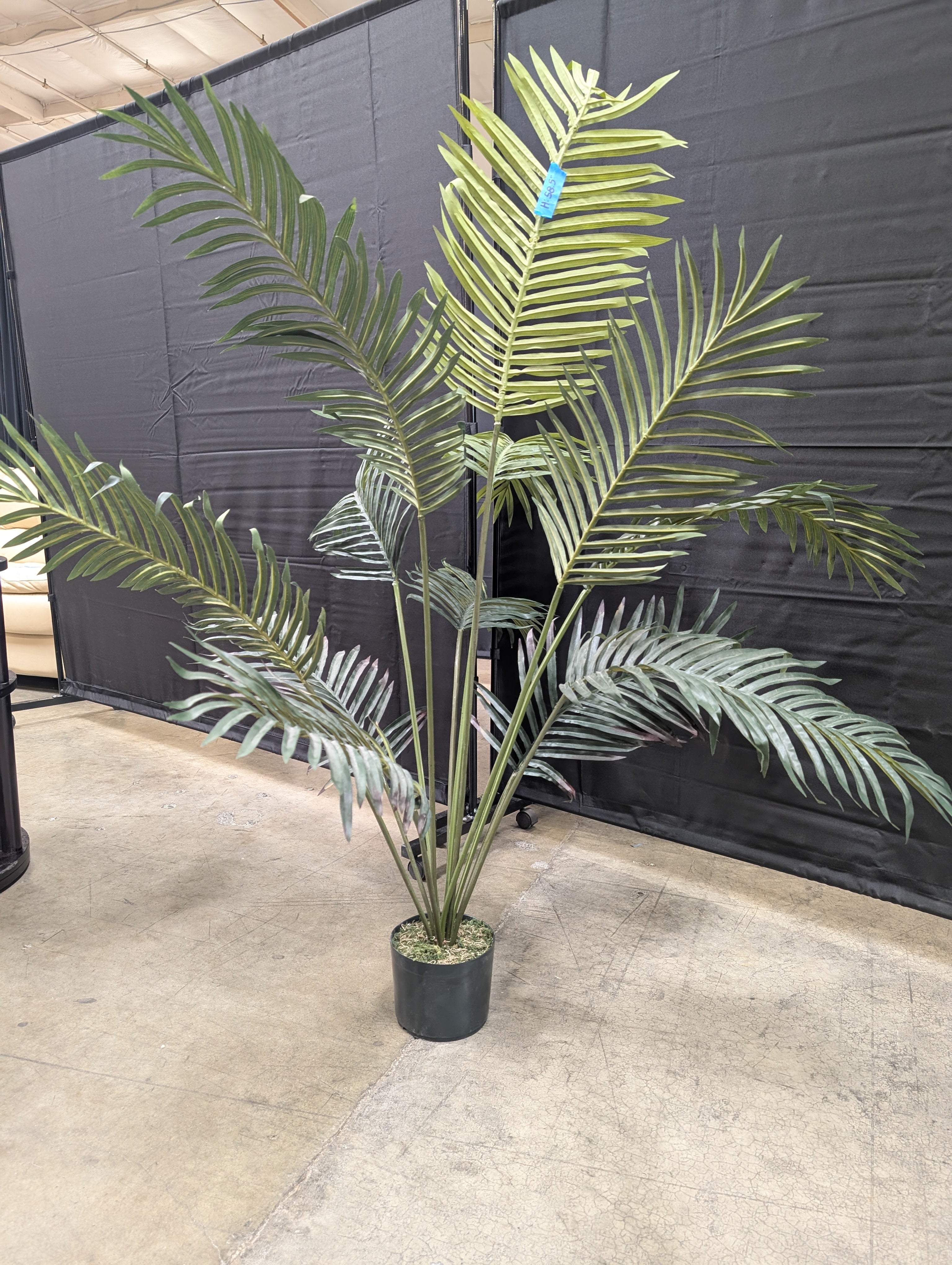 Faux Plant in Black Pot