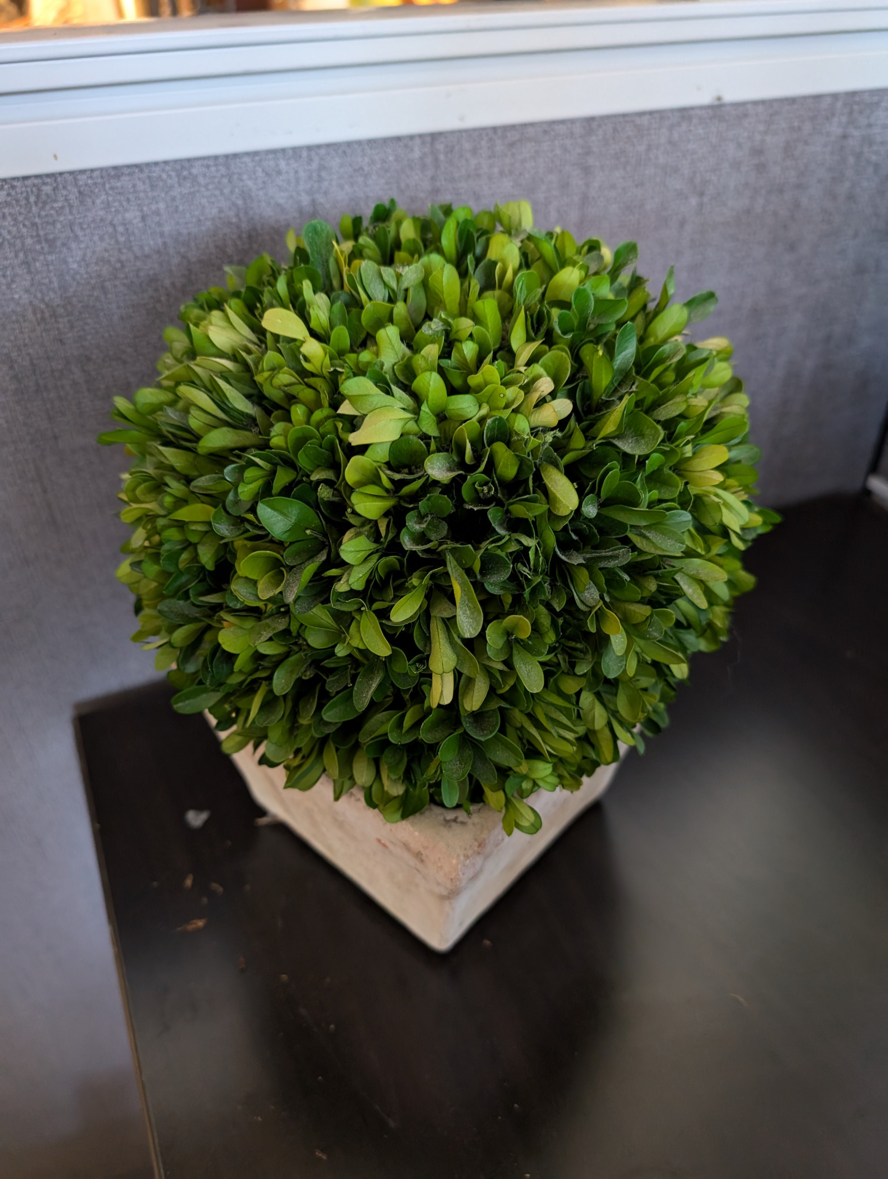 Faux Boxwood Topiary Ball in Square Stone Pot