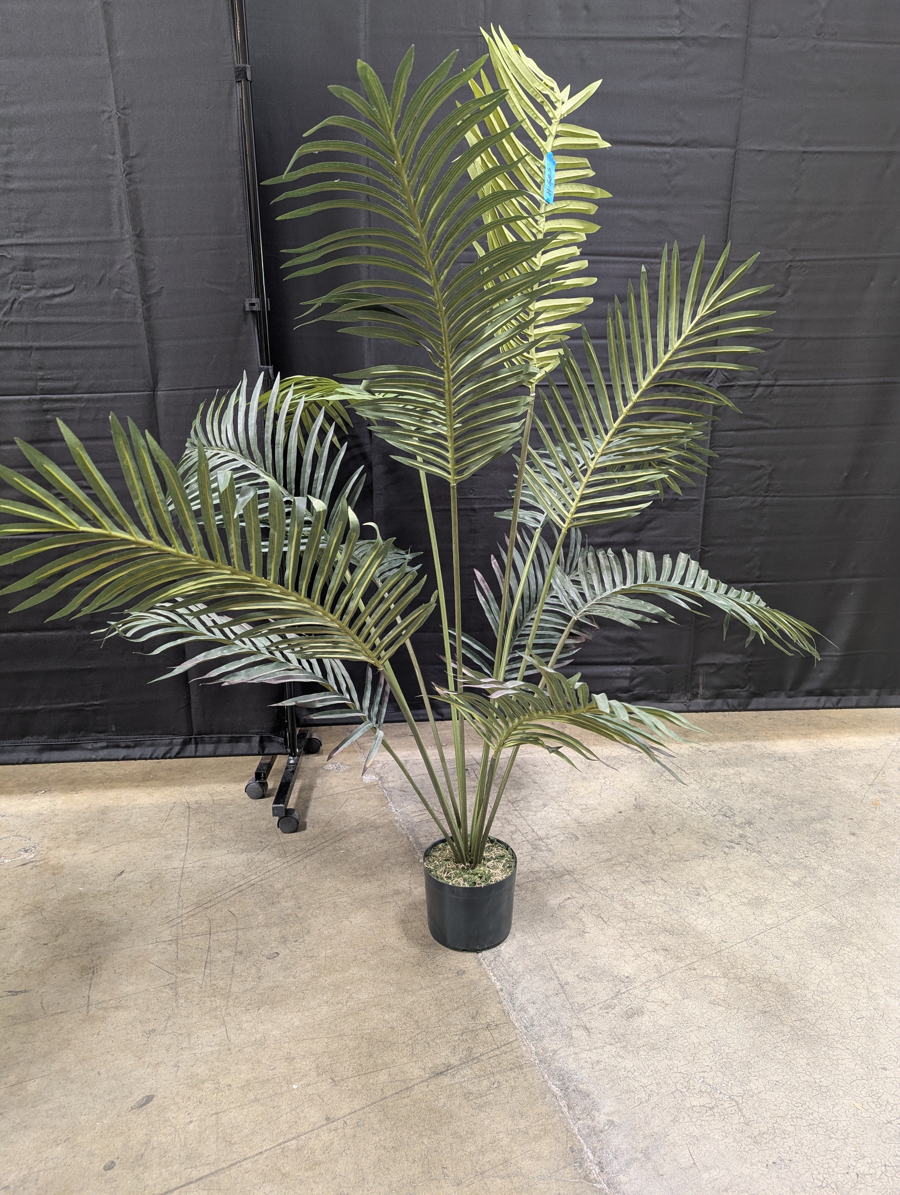 Faux Plant in Black Pot