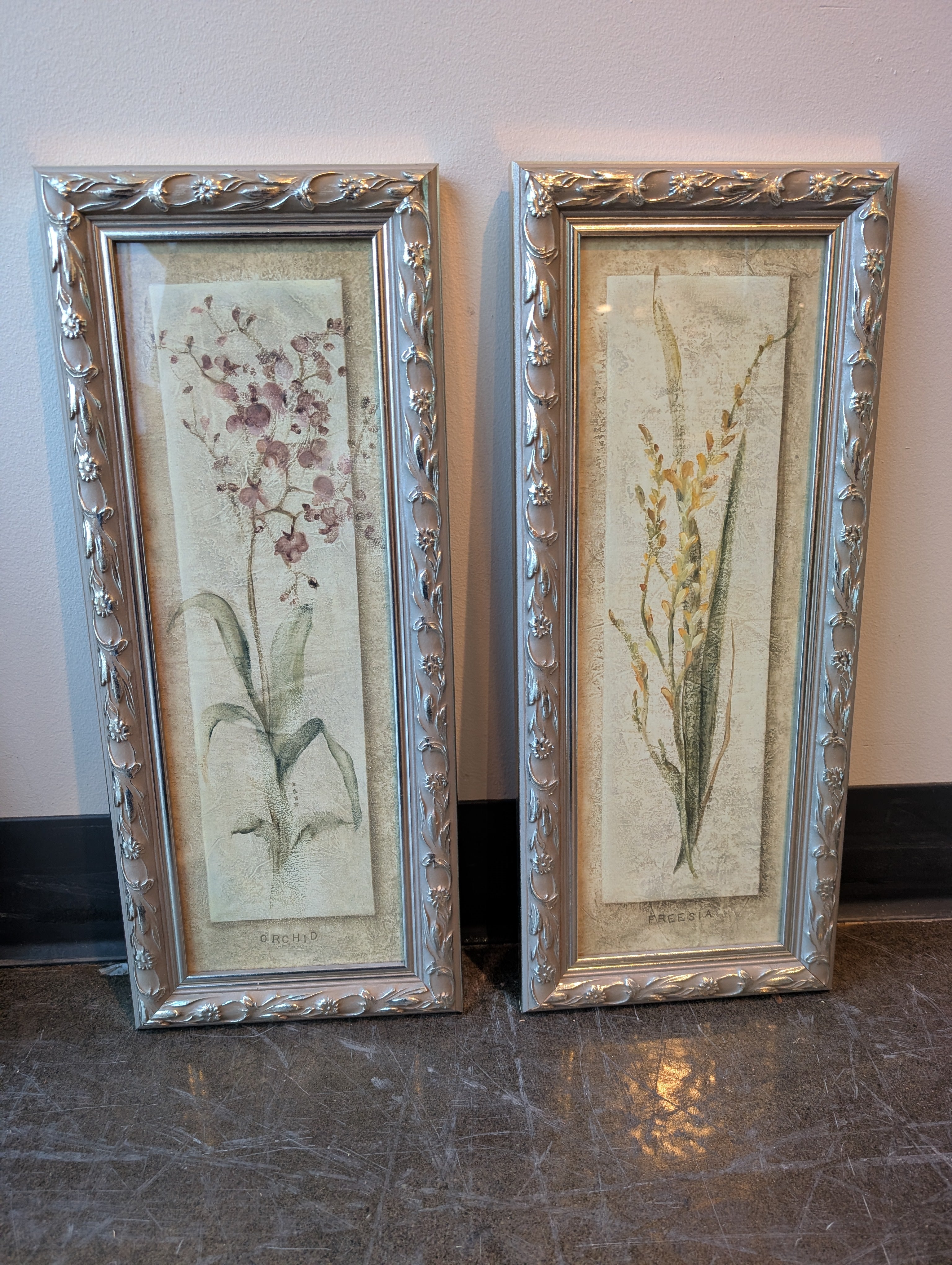 Decorative Botanical Framed Art Prints with Ornate Frames
