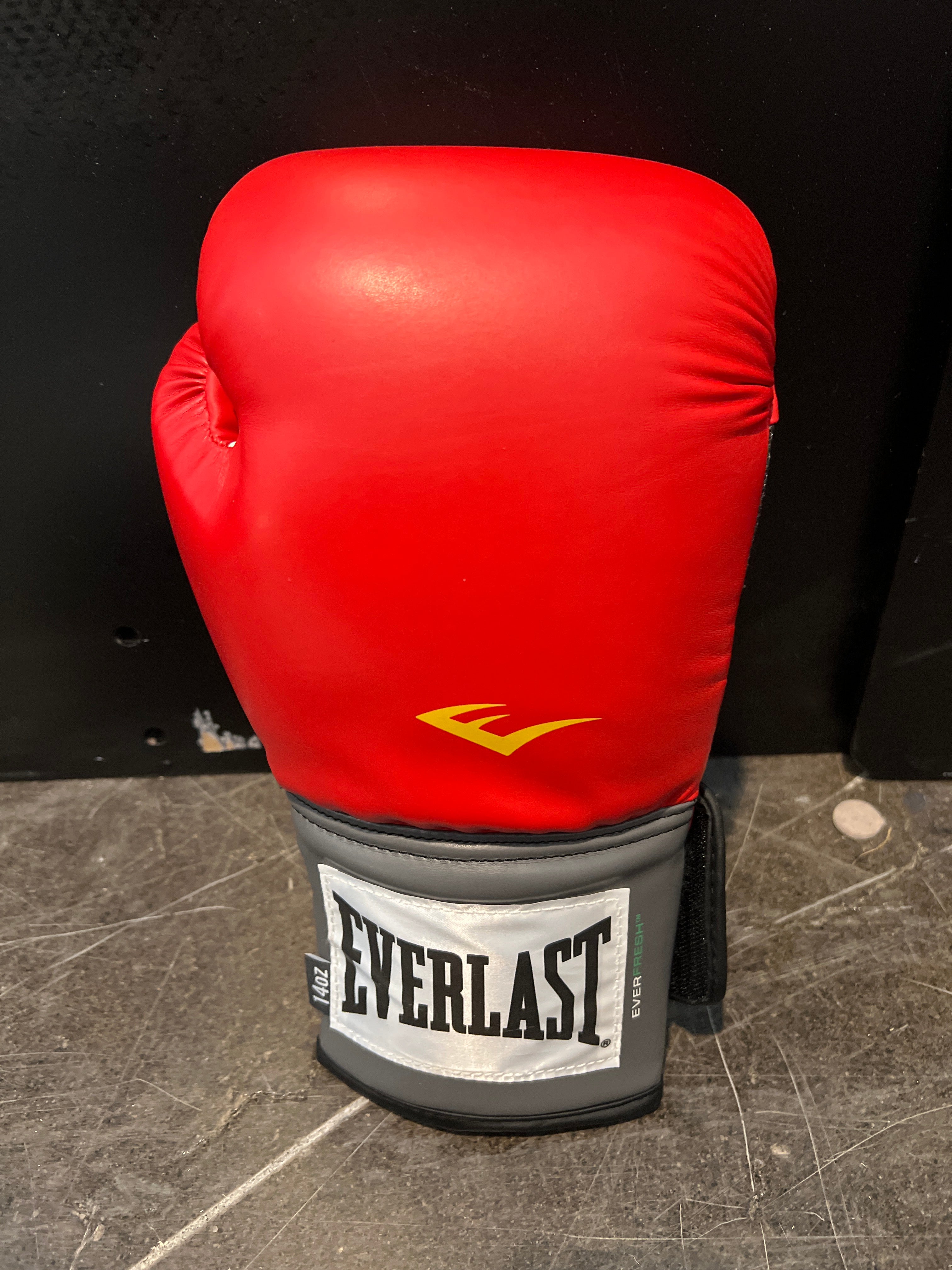 Century Freestanding Punching Bags + Boxing Gloves Bundle