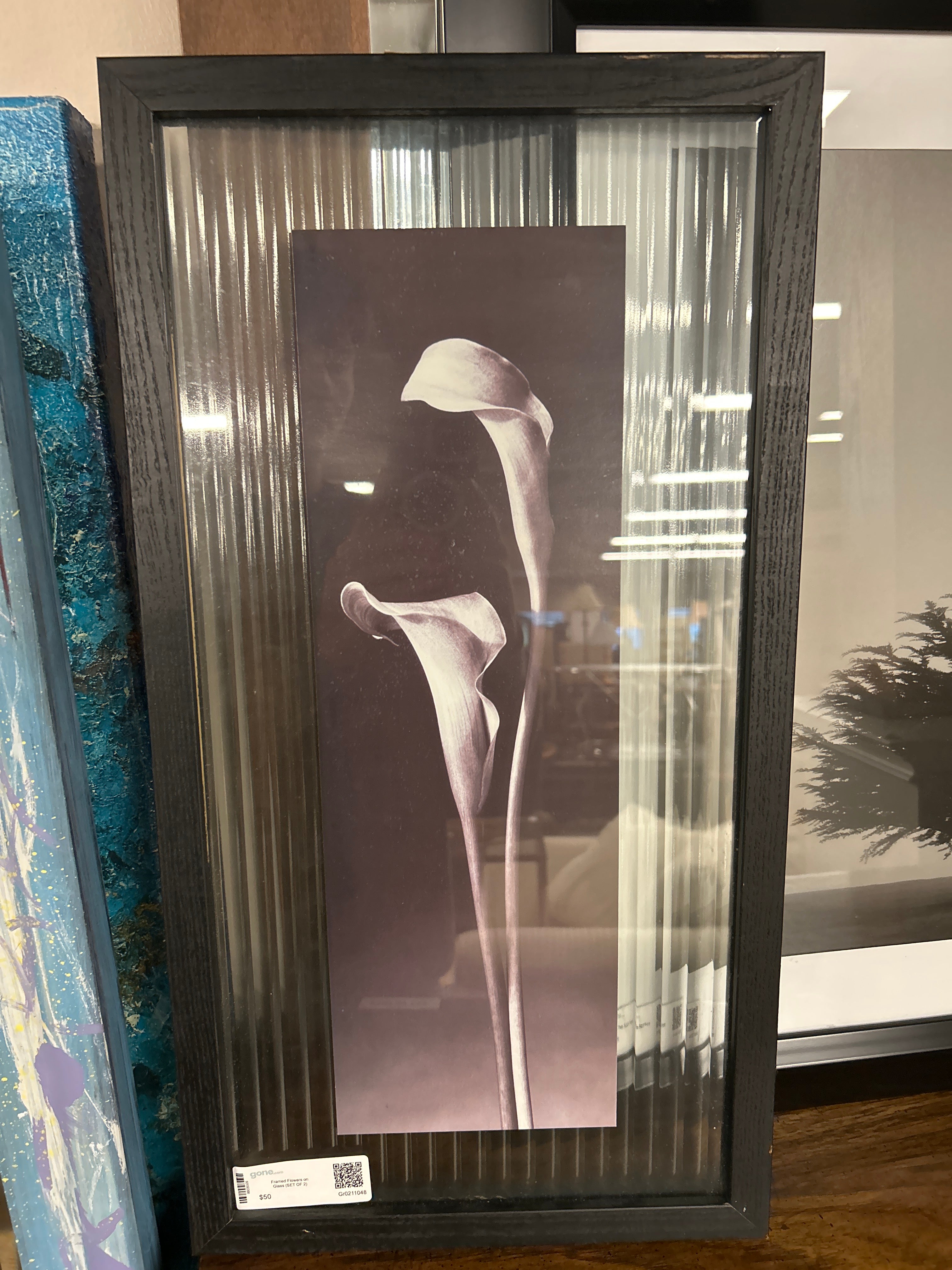 Framed Flowers on glass (SET OF 2)