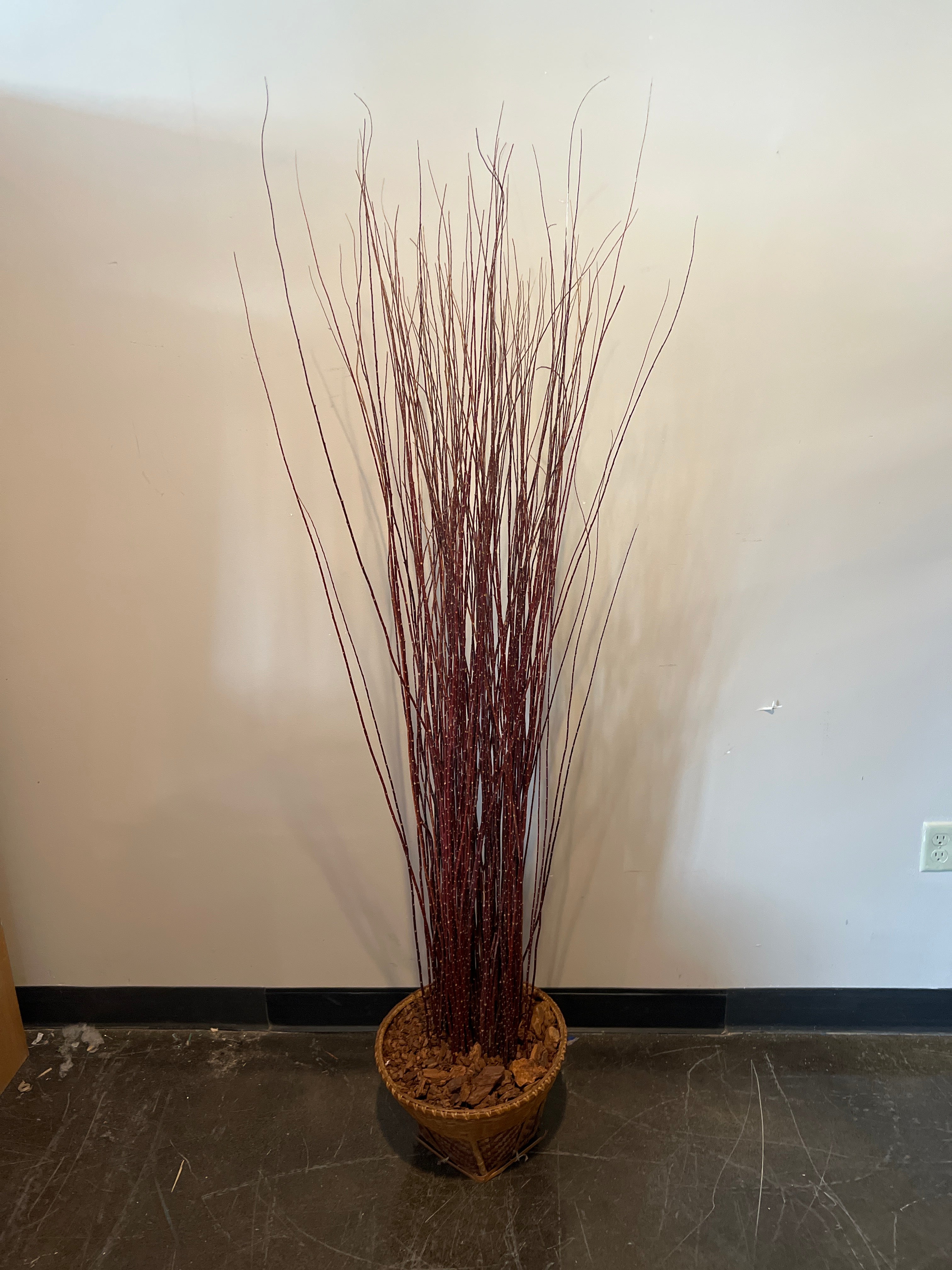 Decorative Red Twig Arrangement in Wicker Basket