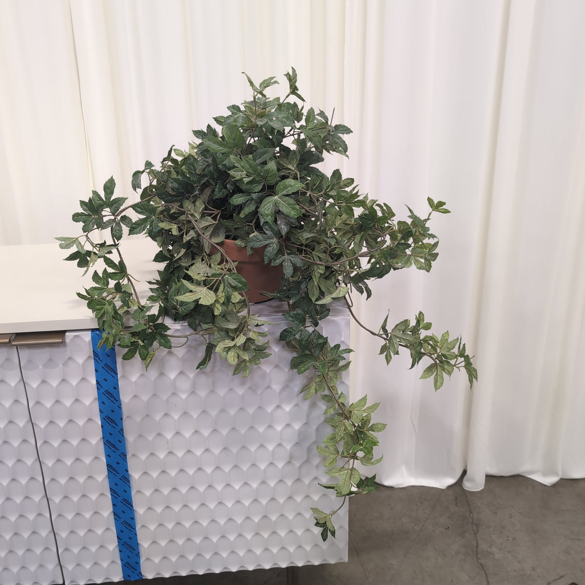 Green Faux Trailing Plant in Terracotta Pot