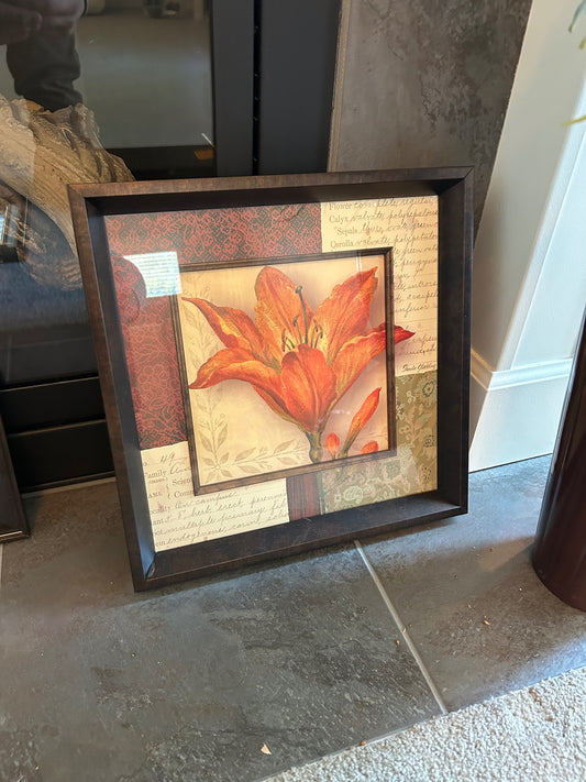 Lily Framed Art Print