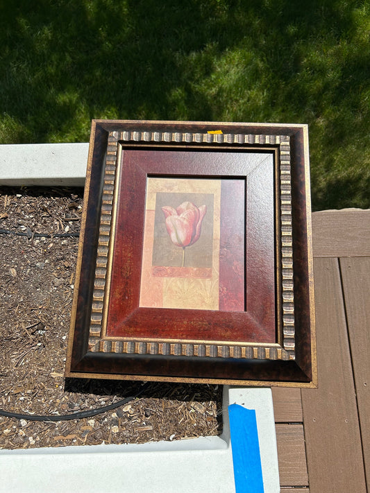 Tulip Framed Art