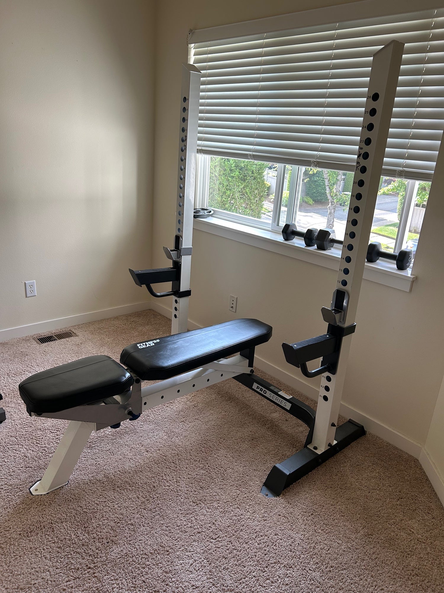 Bench Press without Squat Rack