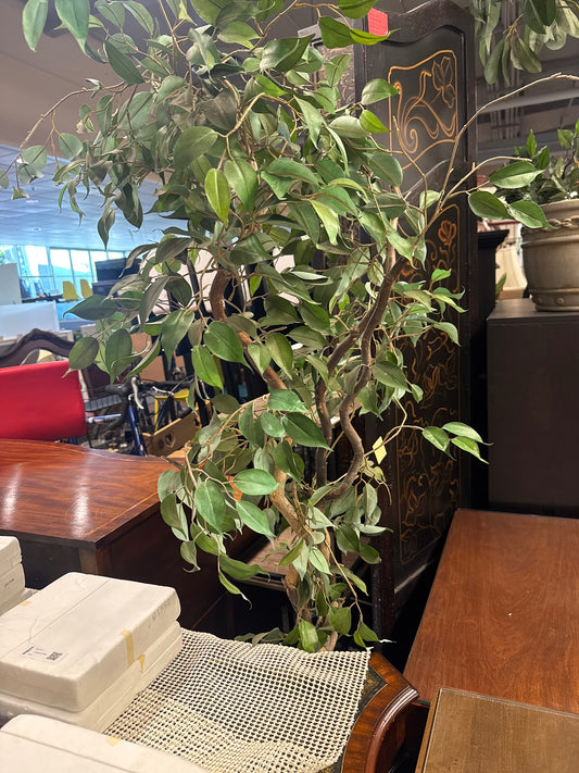 Faux Ficus Tree with Twisted Trunk