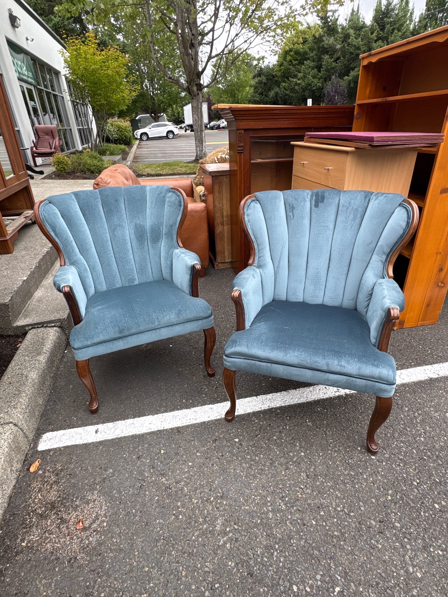 Blue Velvet Fan-Back Accent Chair with Carved Wood Frame