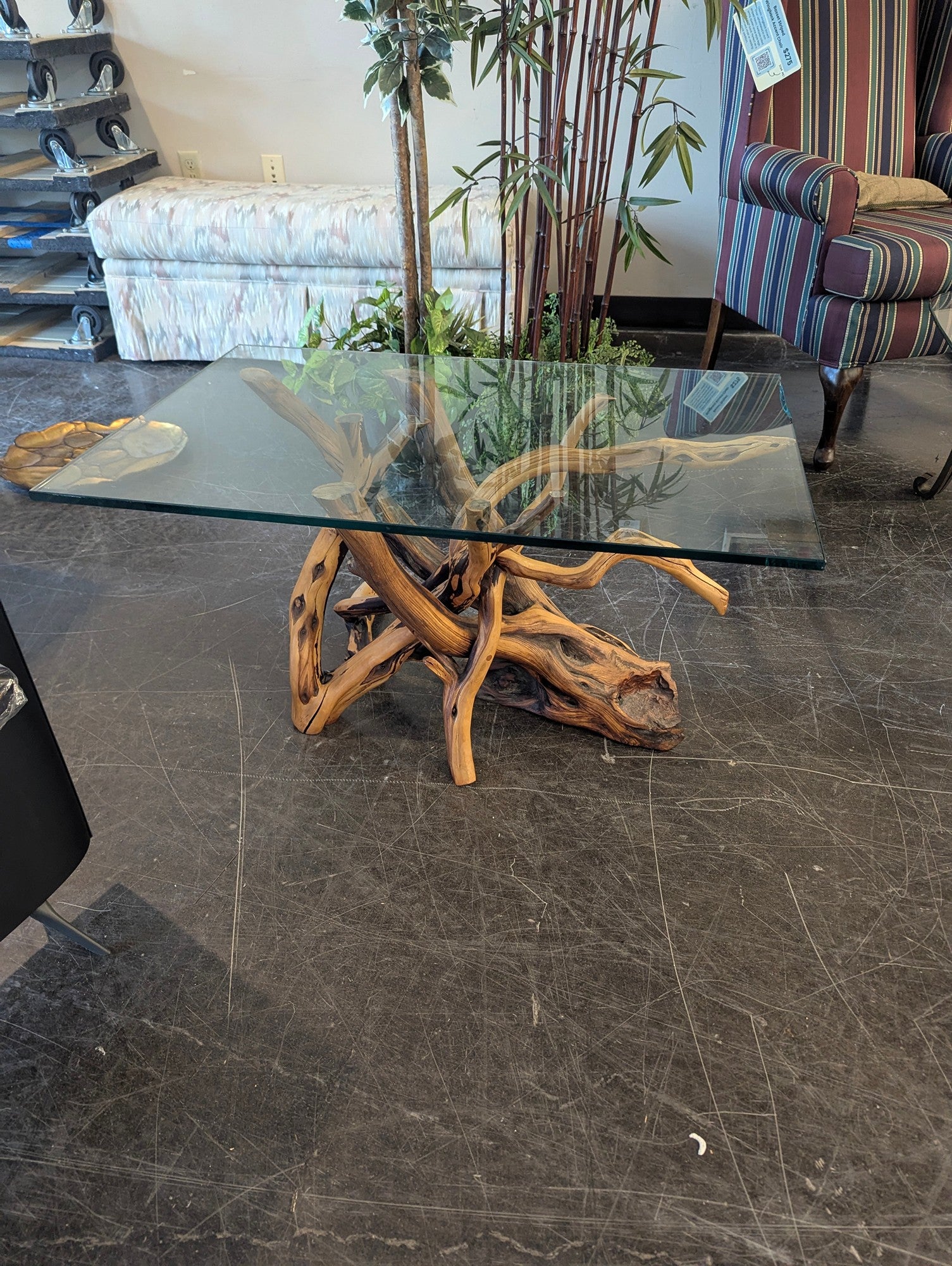 Teak Root Coffee Table with Rectangular Glass Top