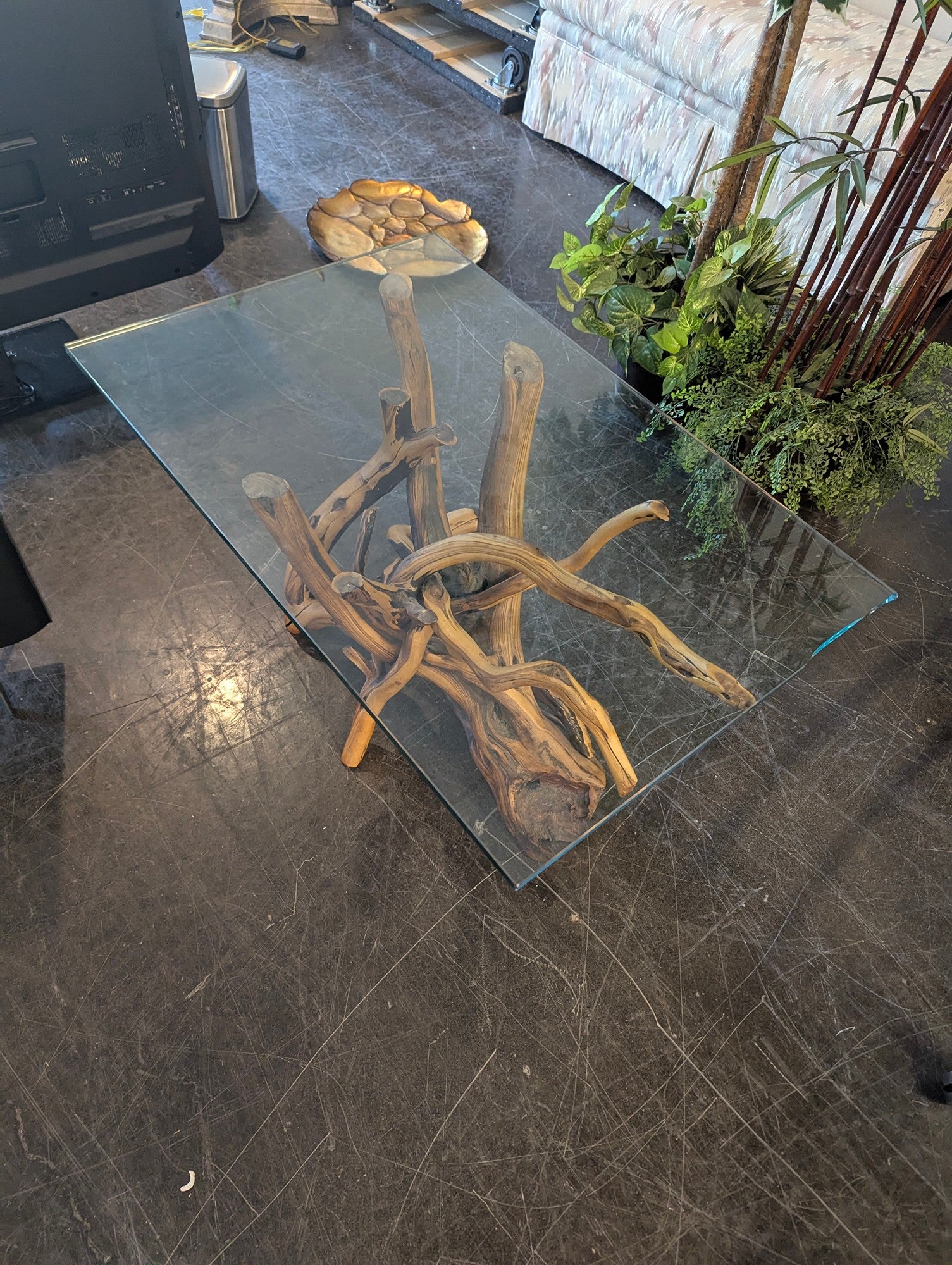 Teak Root Coffee Table with Rectangular Glass Top