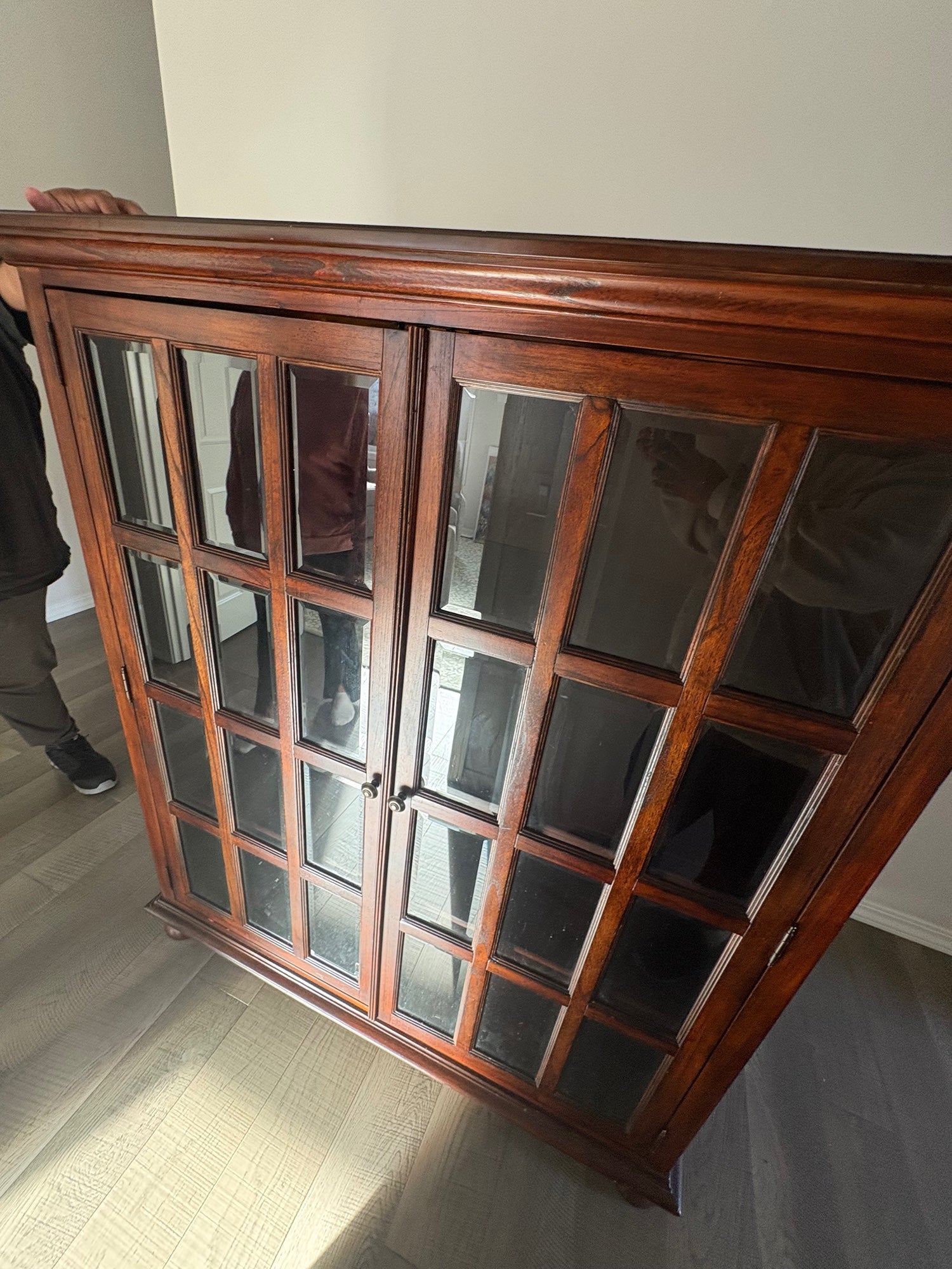Rich Wood Display Cabinet with Glass Paned Doors