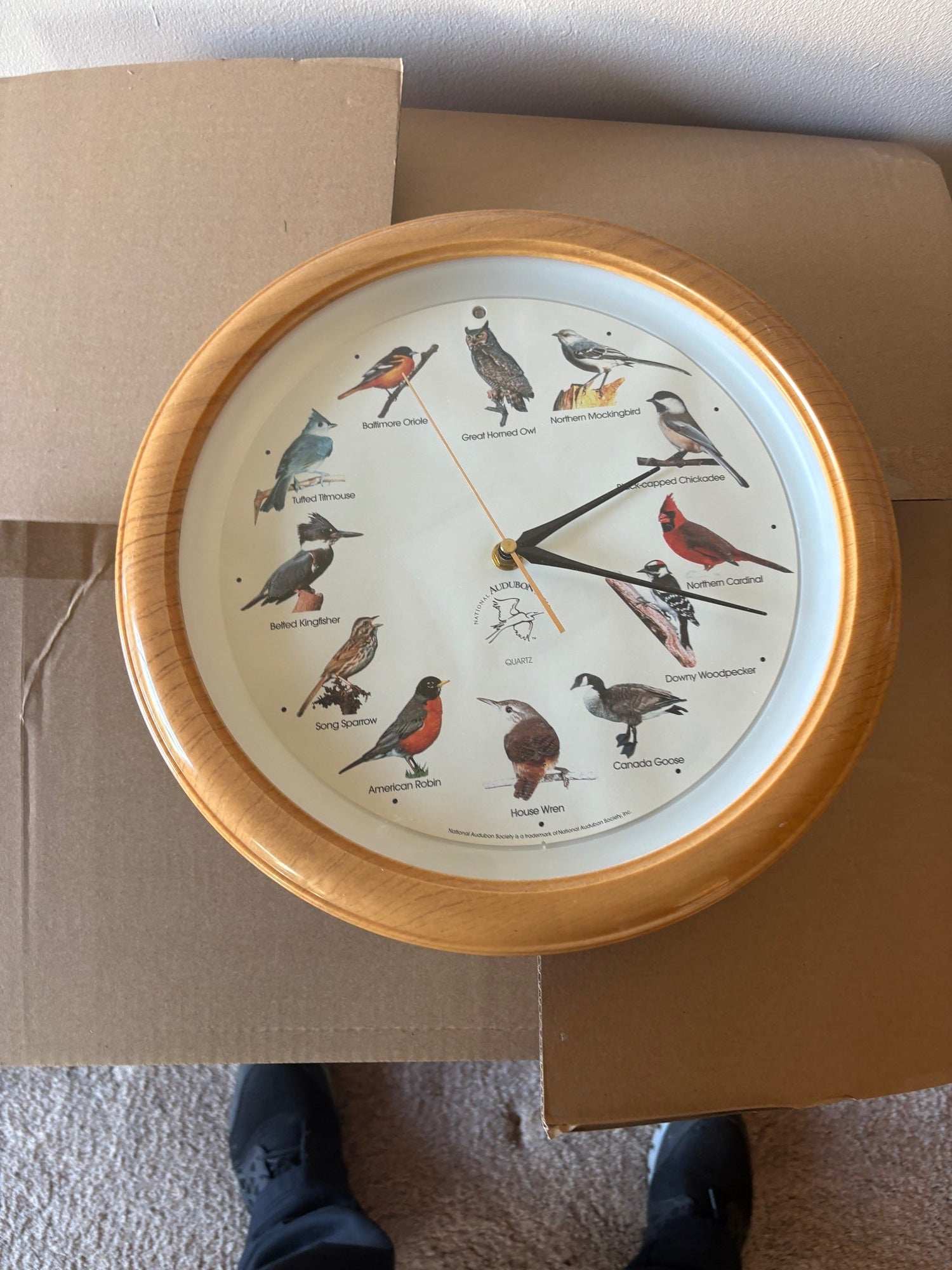 Audubon Society Bird Species Wood-Grain Quartz Wall Clock