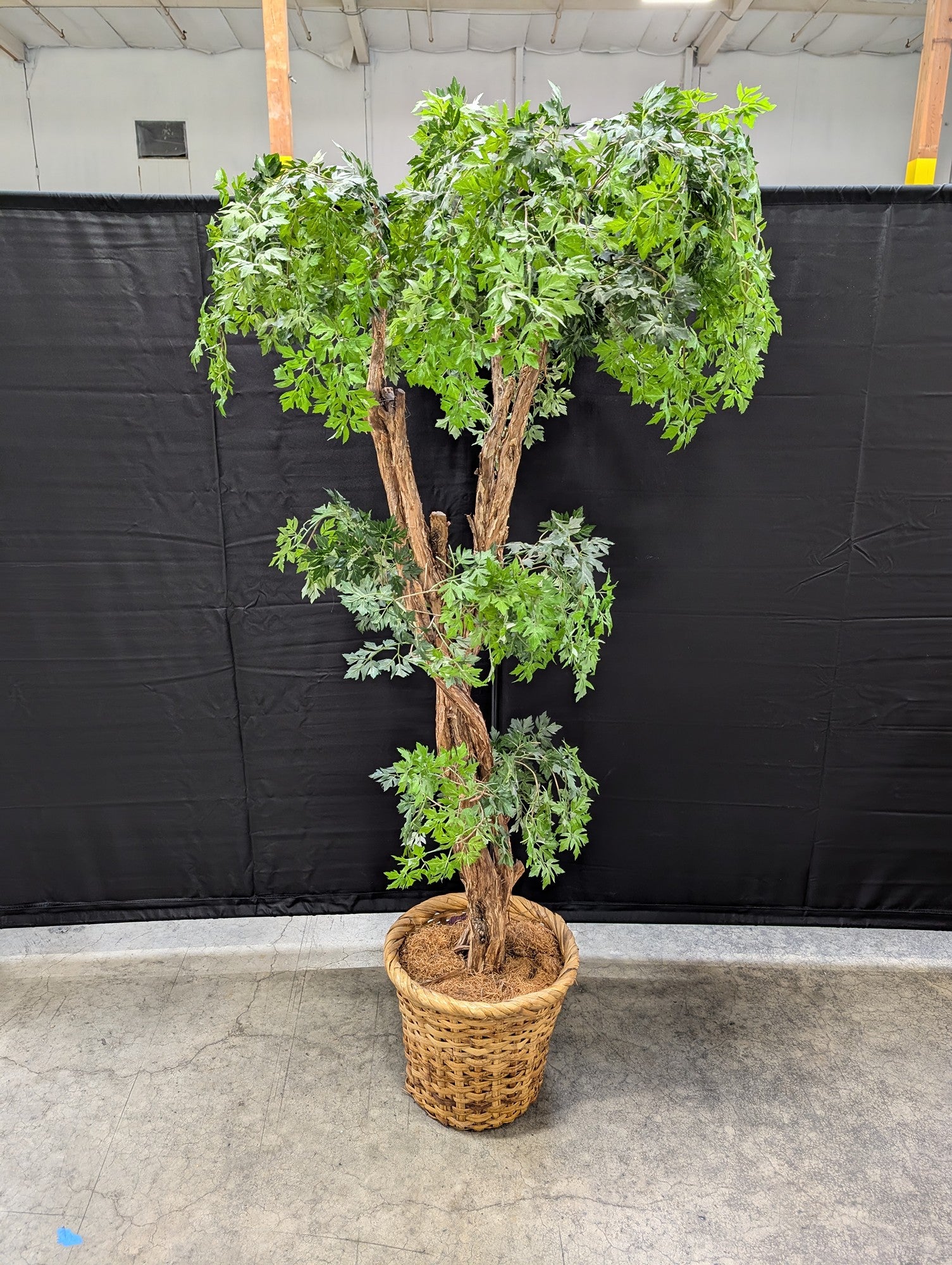 Tall Artificial Green Plant in Woven Basket Planter