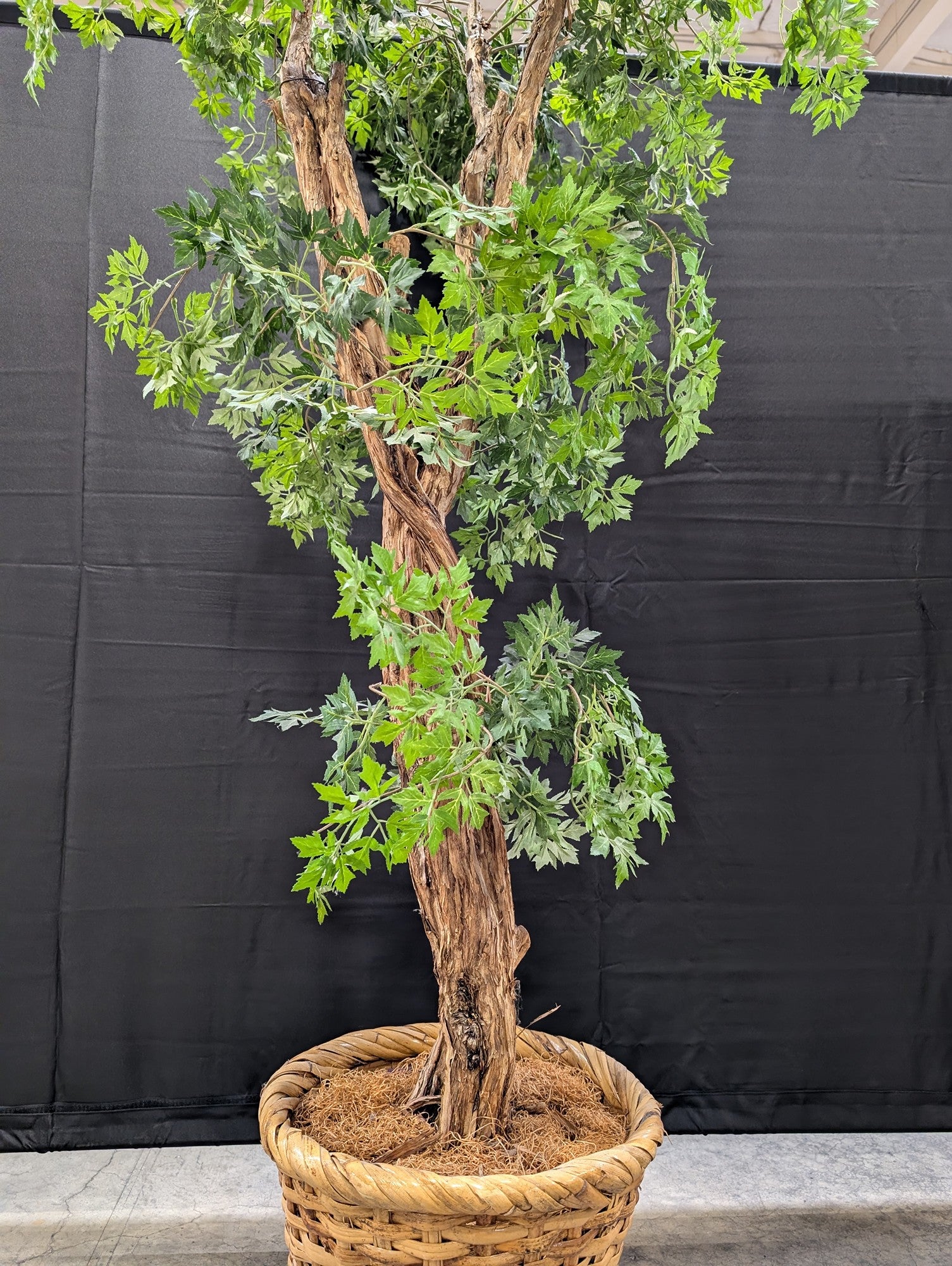 Tall Artificial Green Plant in Woven Basket Planter