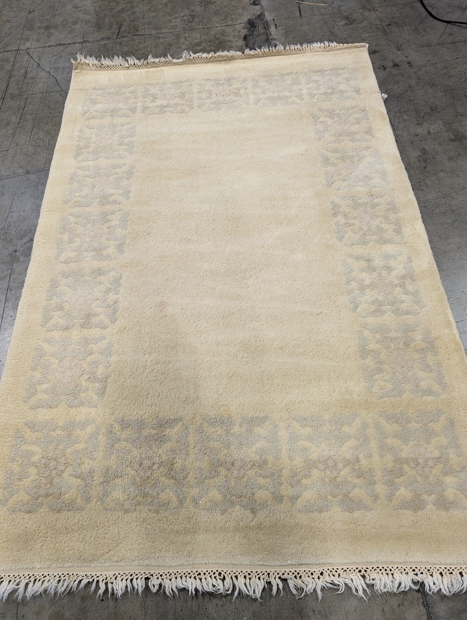 Neutral Toned Geometric Border Area Rug