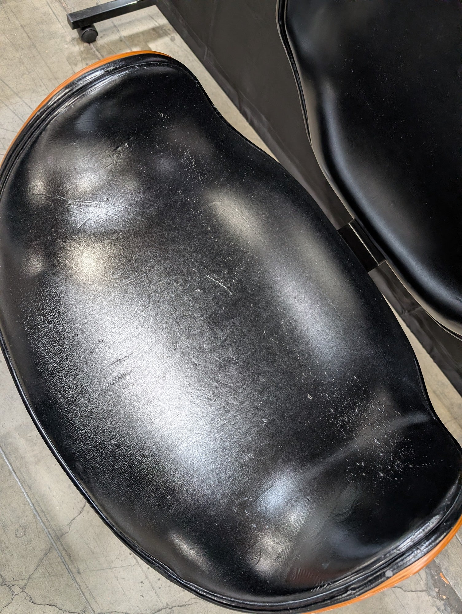 Modern Swivel Office Chair with Black Upholstery and Bentwood Frame