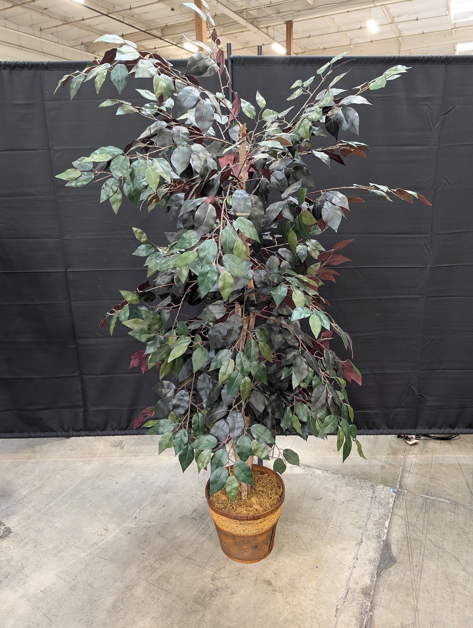 Lush Artificial Ficus Tree with Woven and Wood Planter