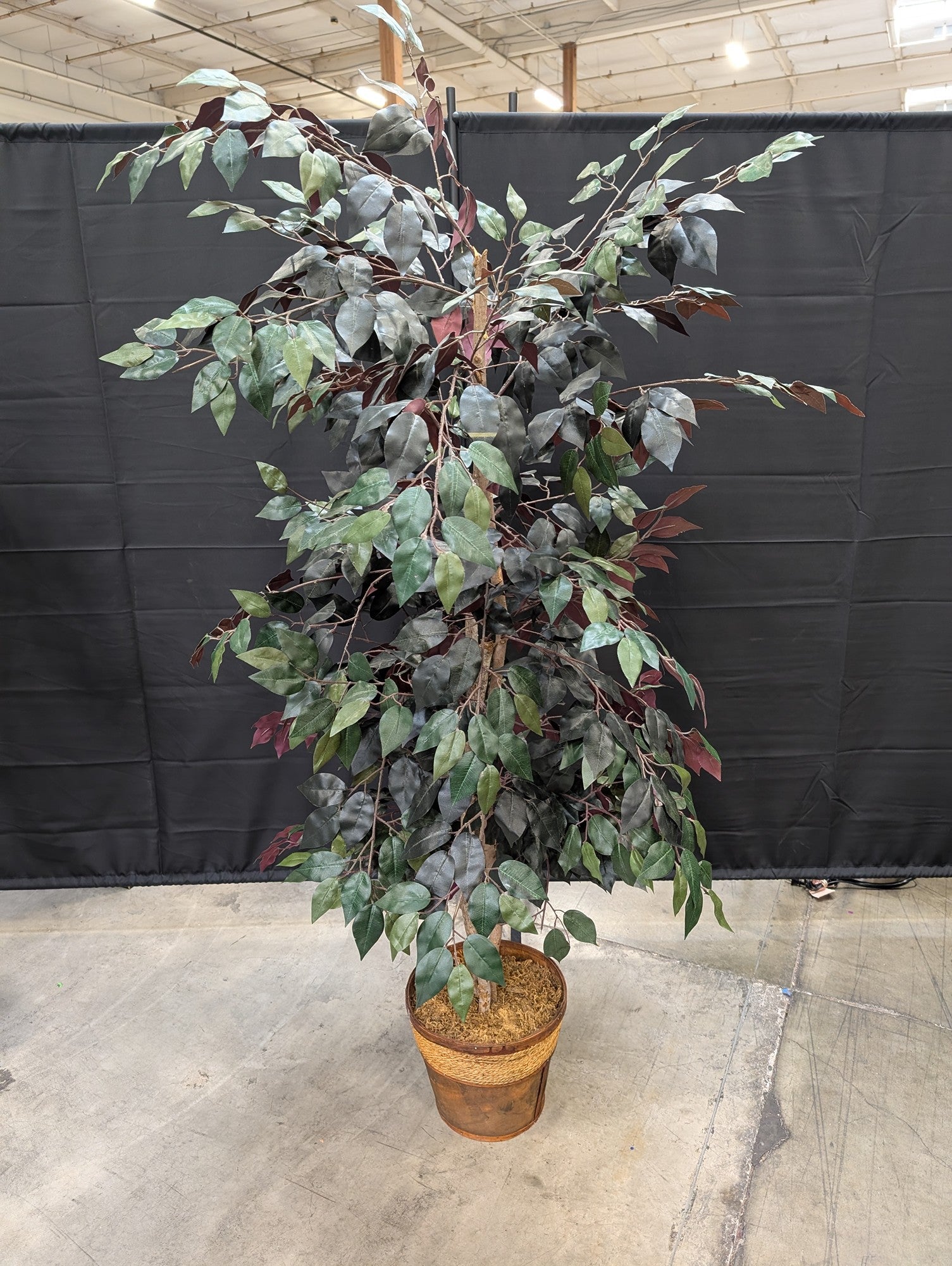 Lush Artificial Ficus Tree with Woven and Wood Planter