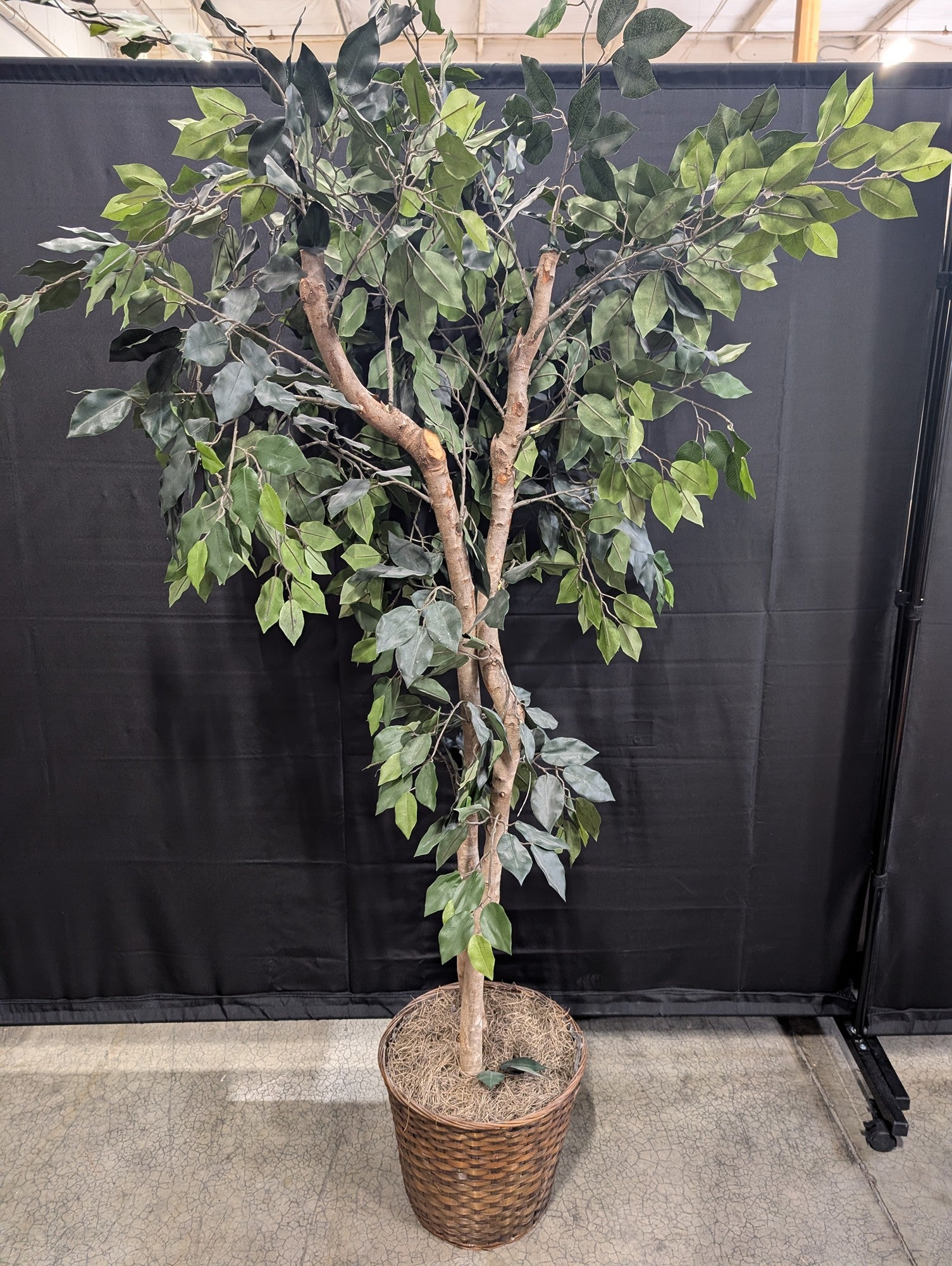 Lush Artificial Ficus Tree with Woven Basket Planter