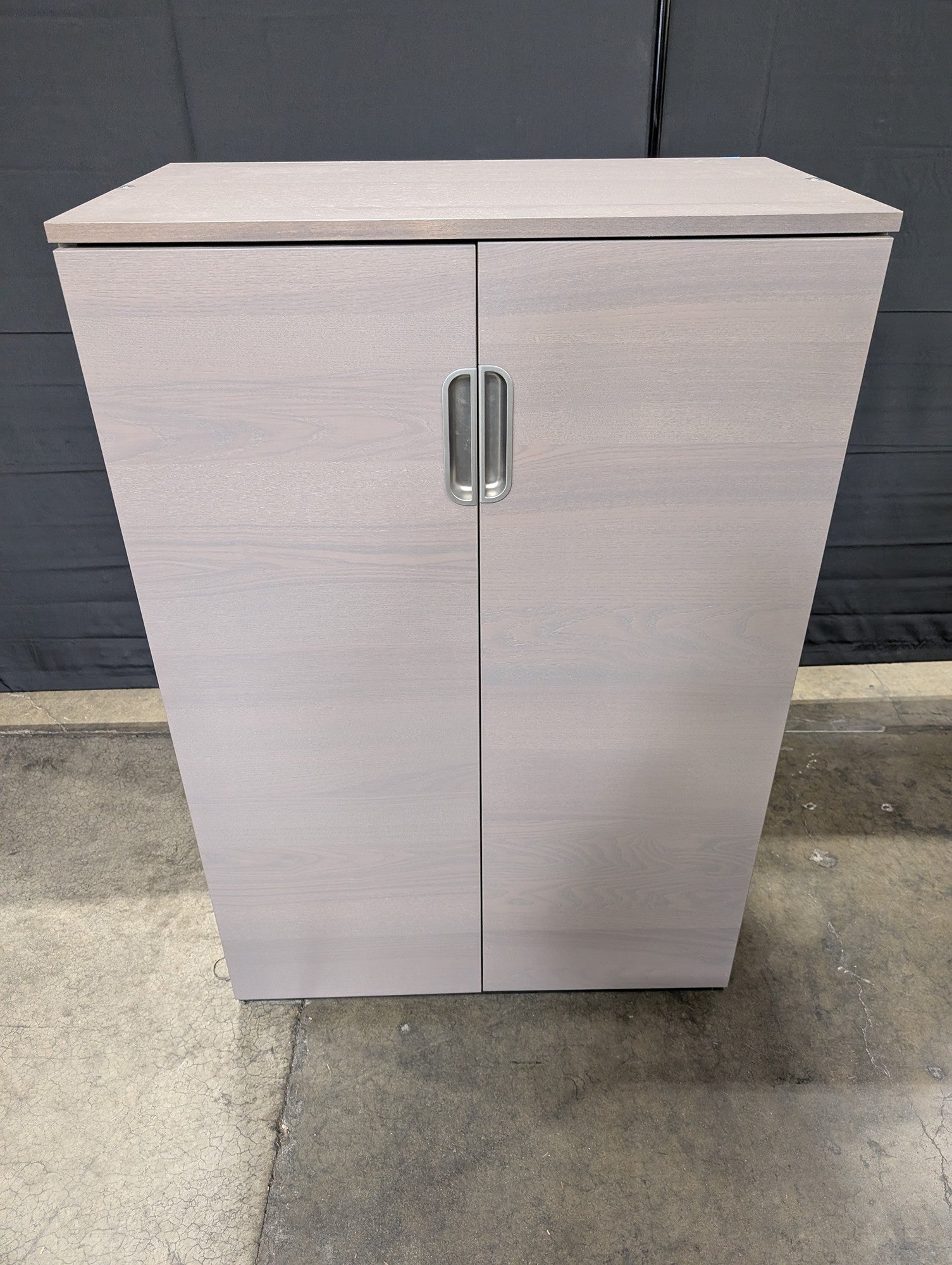 Modern Two-Door Storage Cabinet with Adjustable Shelves