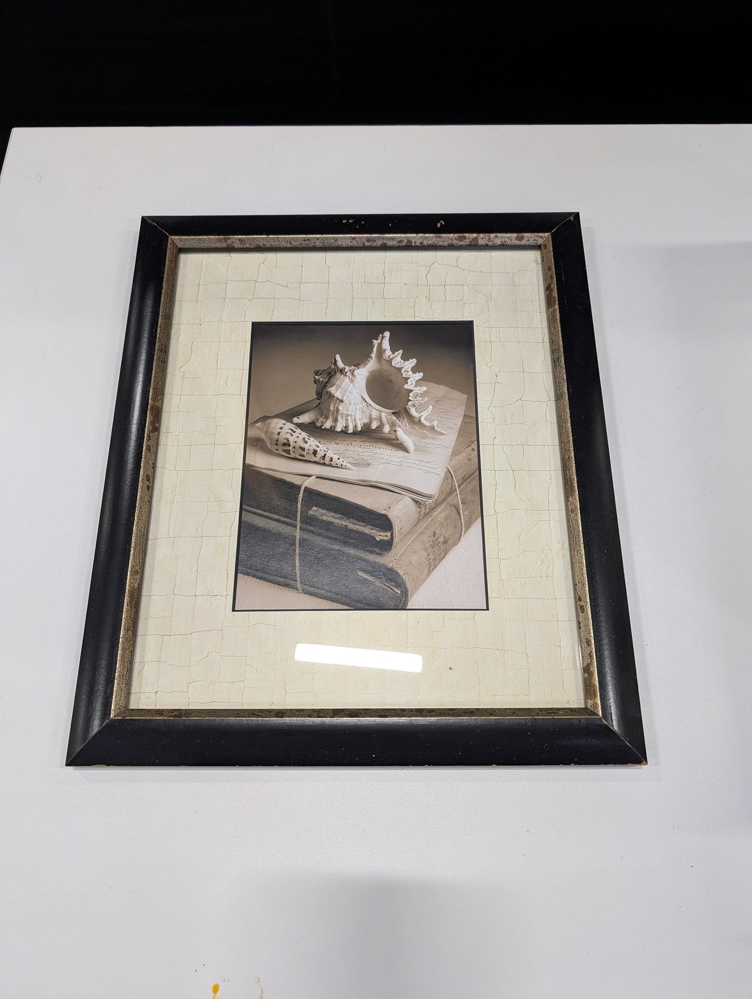 Howard Waisman Seashell Still Life Framed Art Print
